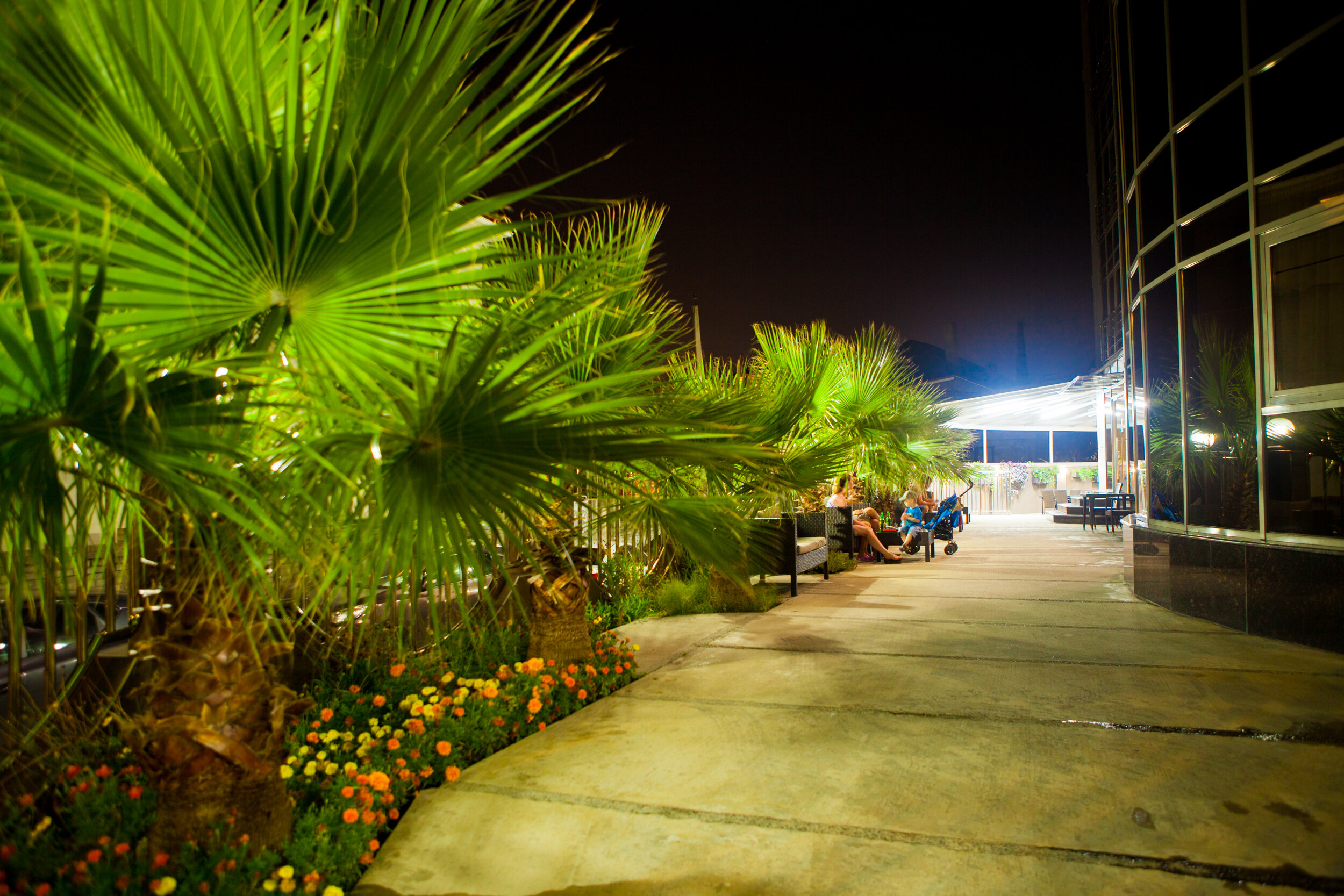 Фото Энсино