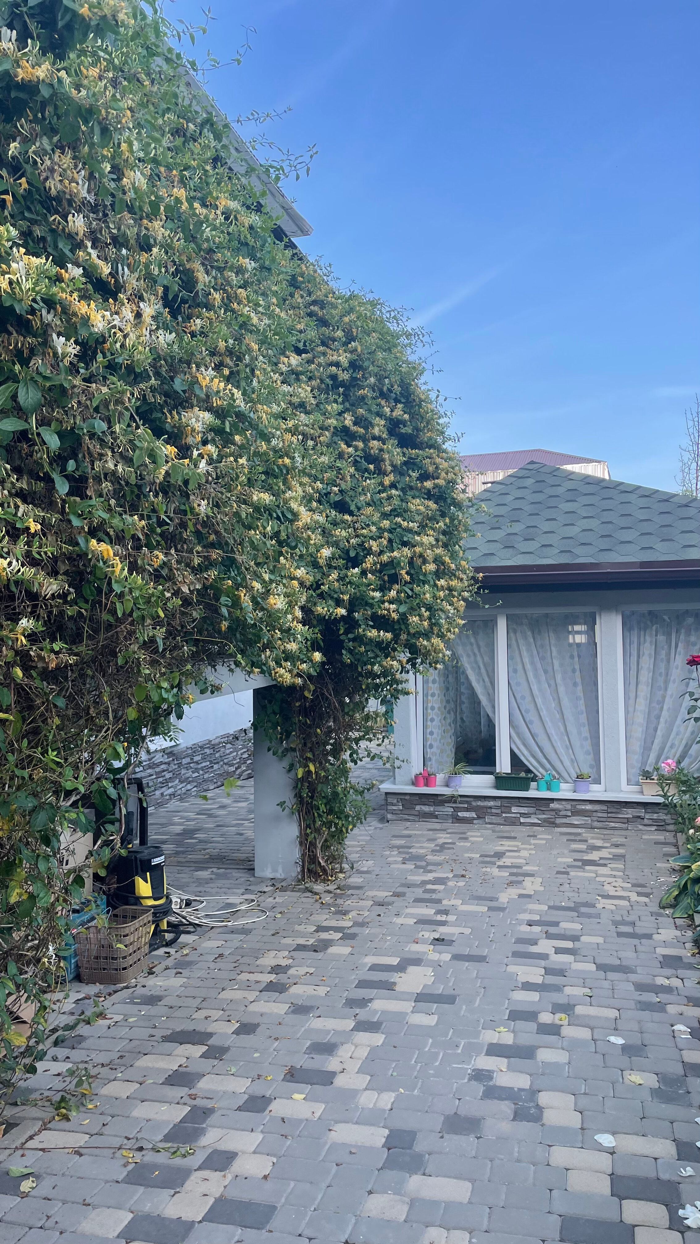 Фото Альтитюд