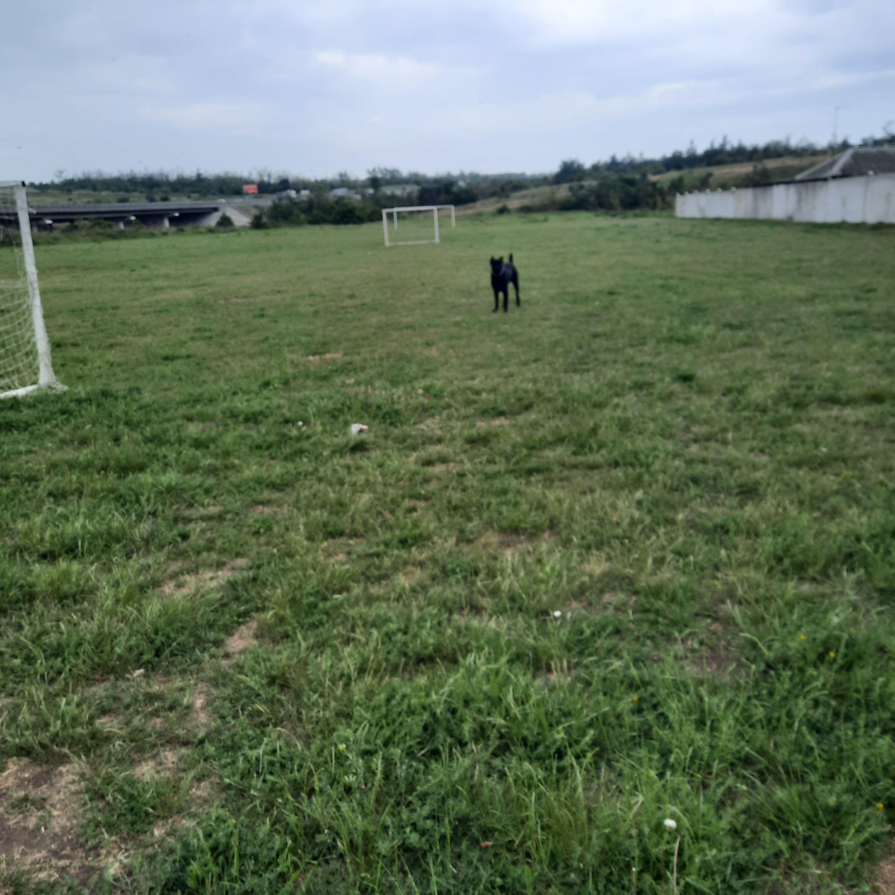 Фото Экодомики