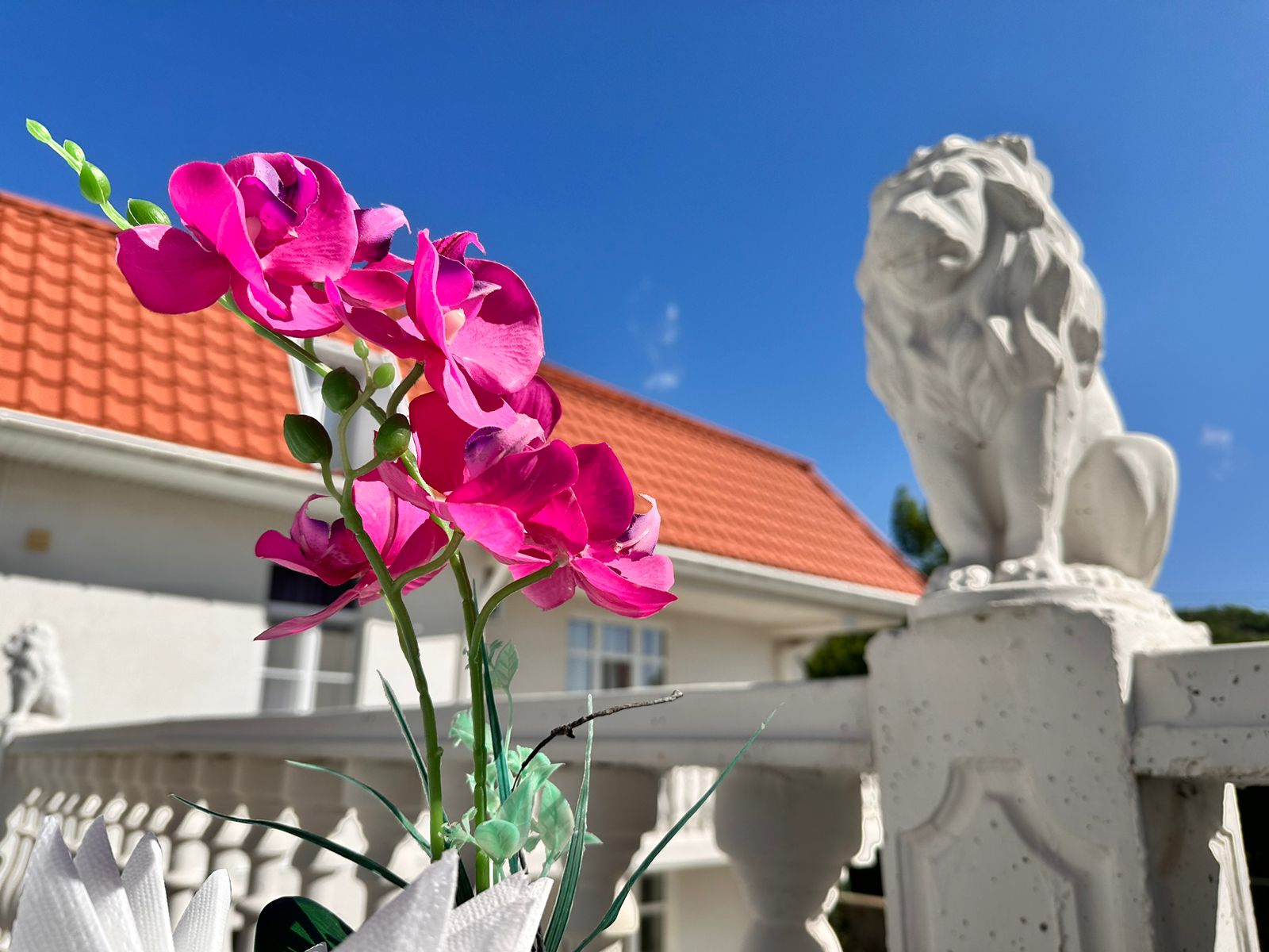 Фото Вилла Парк Изобильное