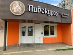 Pivokurov (ulitsa Yalagina, 26), beer shop