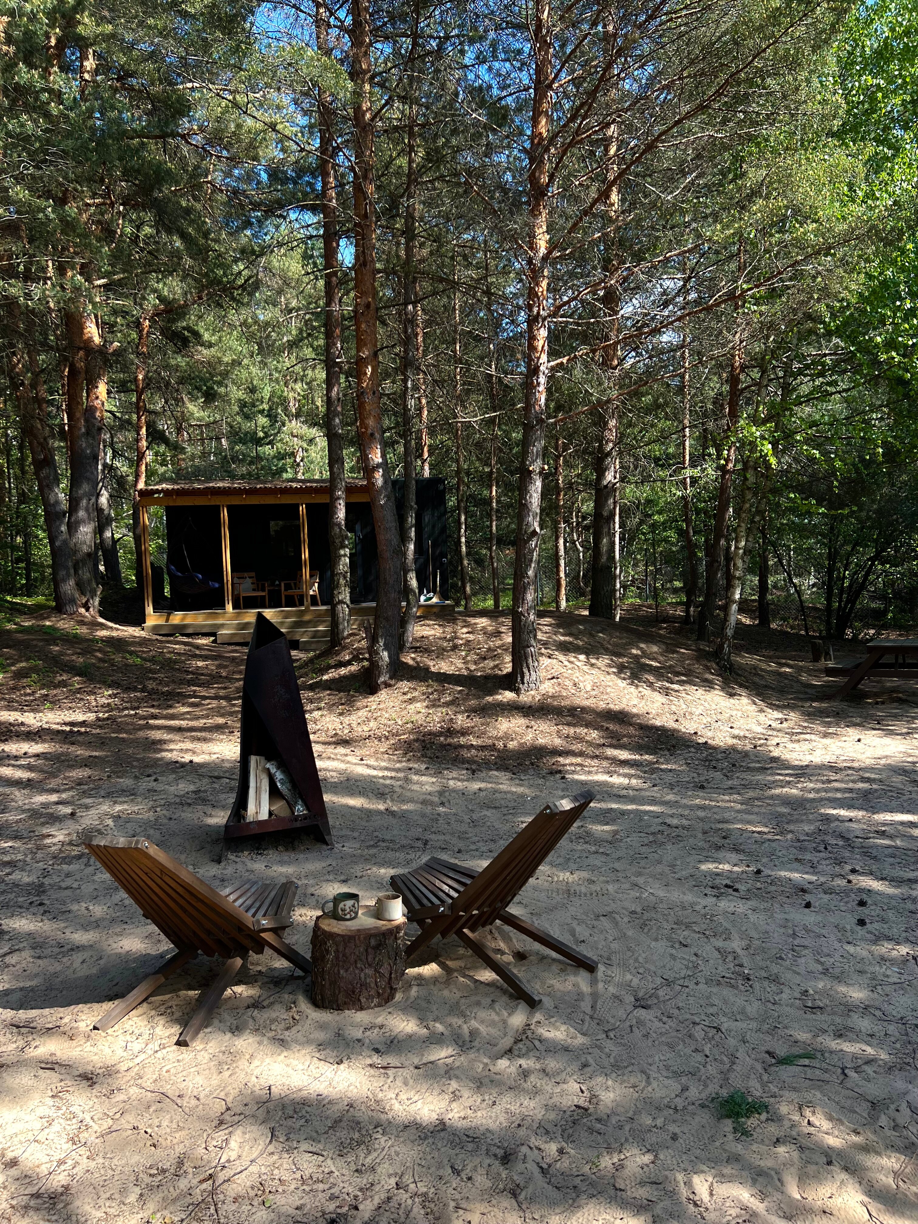 Фото Место под соснами