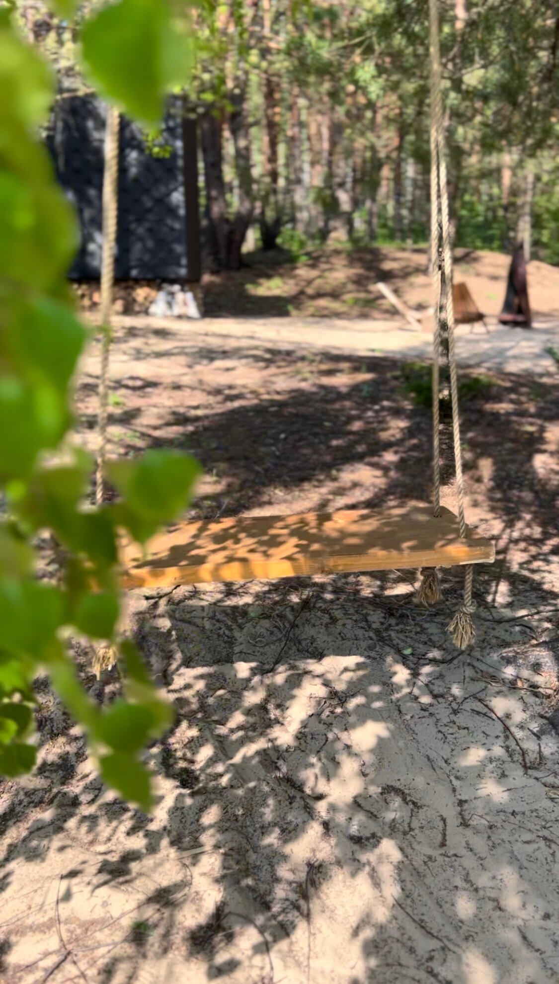 Фото Место под соснами