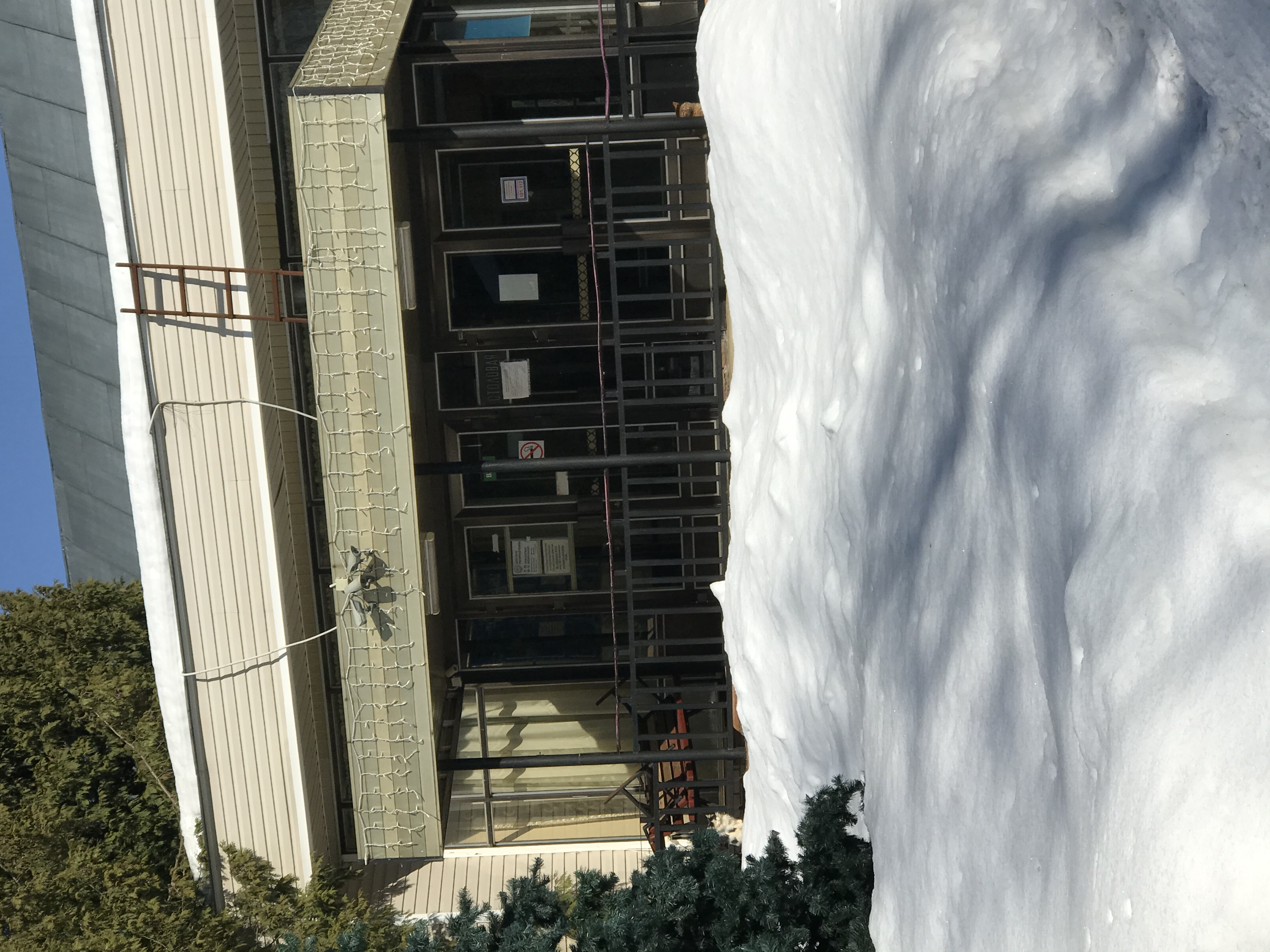 Фото Центр социальной геронтологии Чайковский