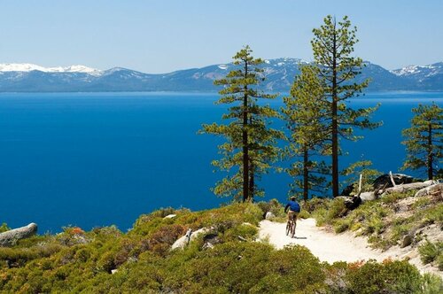 Жильё посуточно Champions Trail - Cozy Cabin w Access To Lake Tahoe Park Association Beach