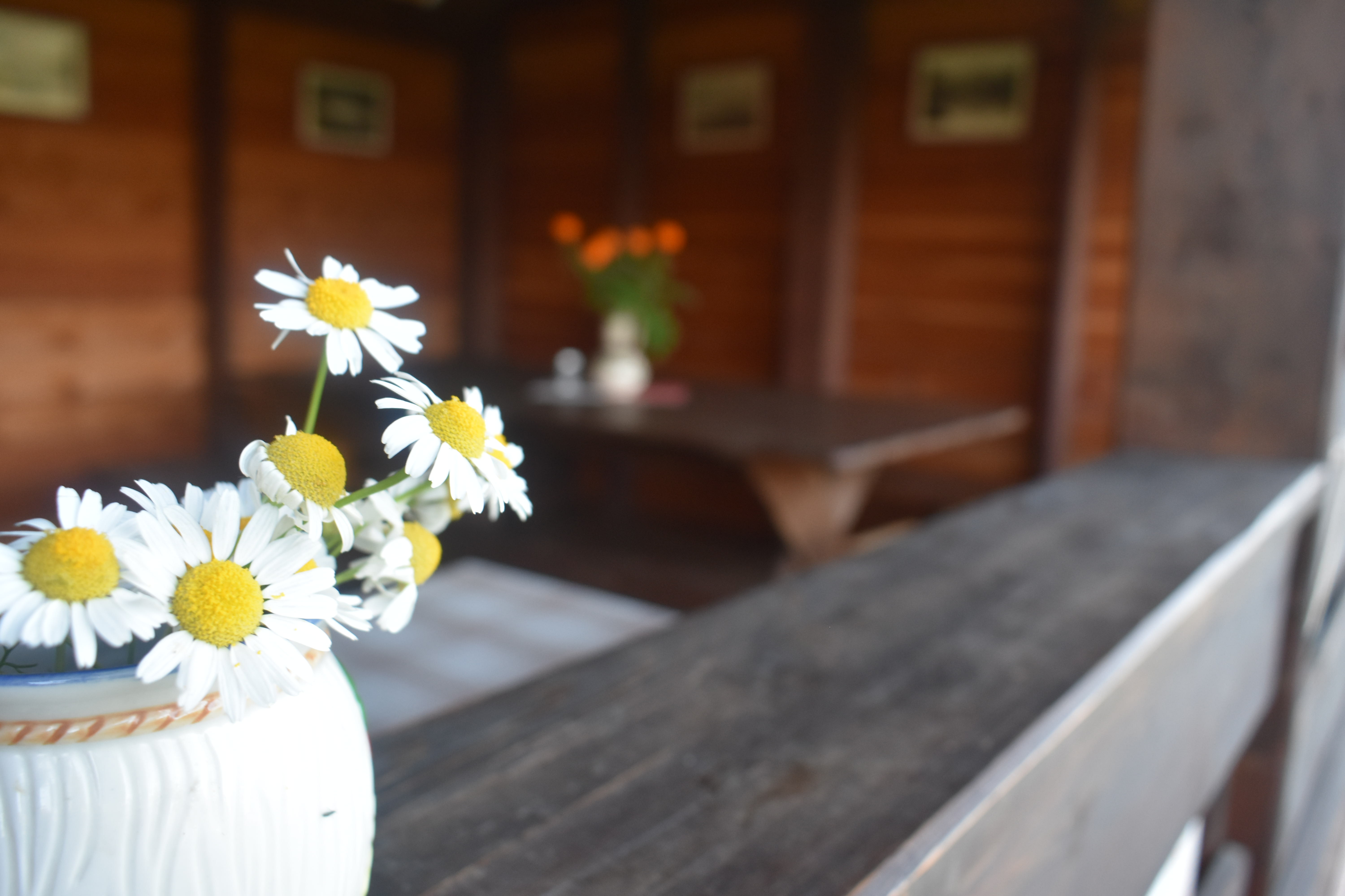 Фото Алтайна