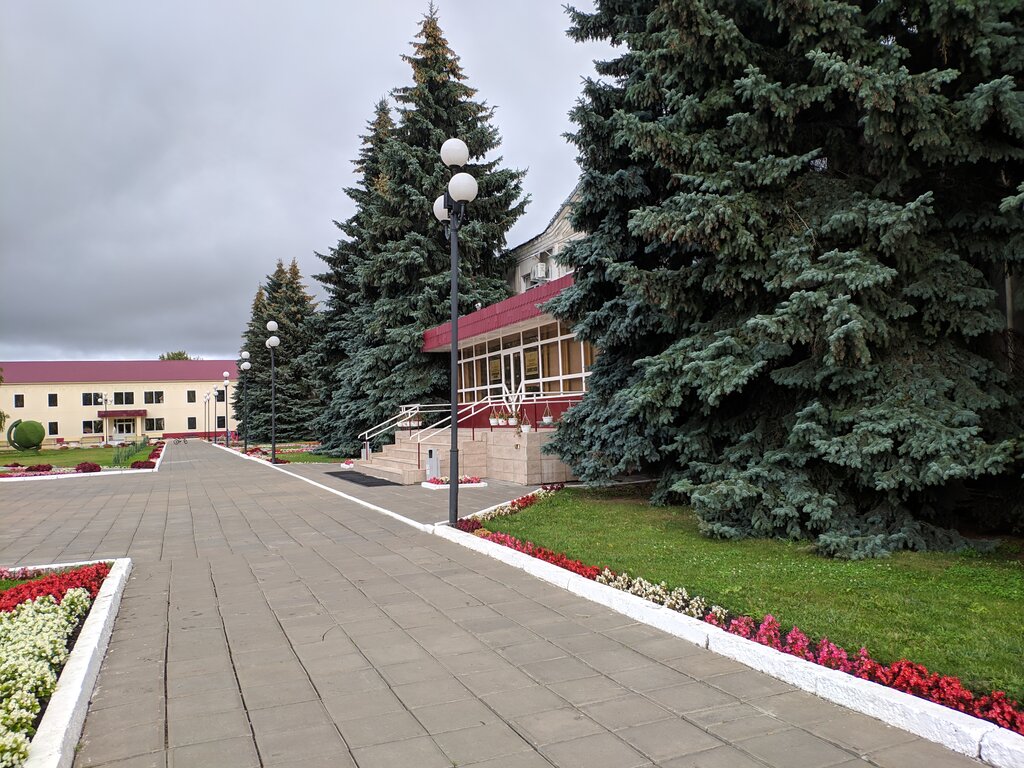 Администрация Администрация Татищевского муниципального района Саратовской области, Саратовская область, фото