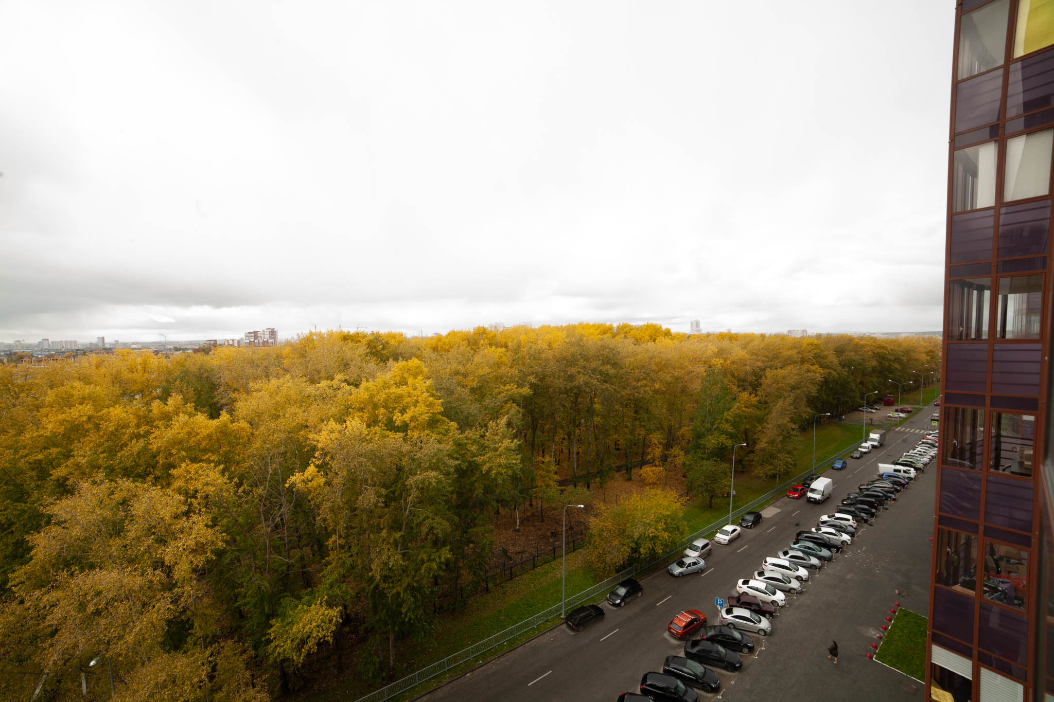 Фото Абажур на Стачек 4