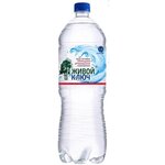 Zhivoy Klyuch (Adelya Kutuya Street, 151), water store