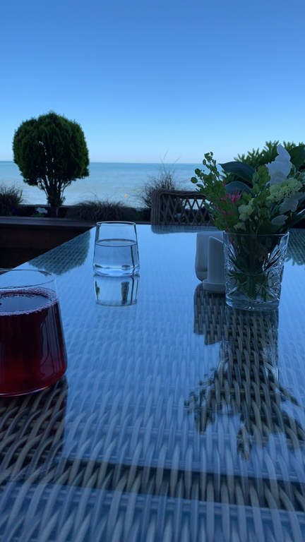 Фото Полёт Чайки