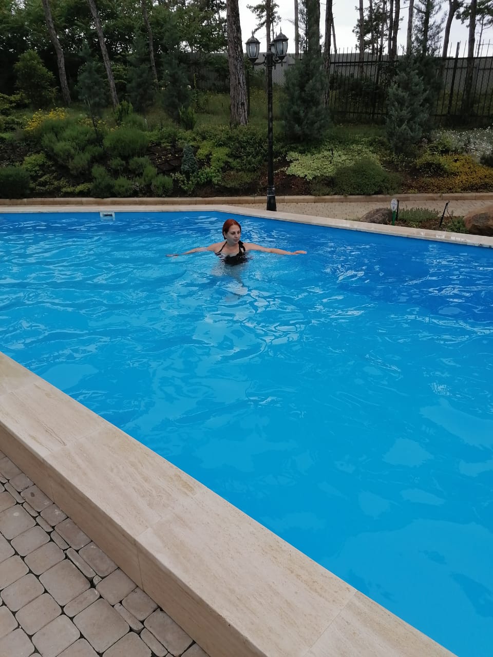 Фото Розмарин