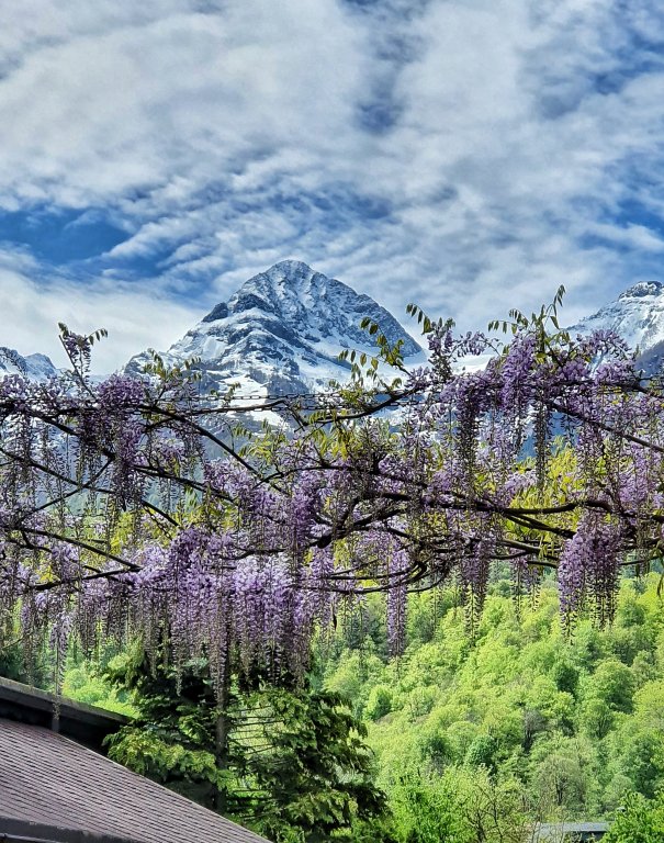 Фото Дом Тере