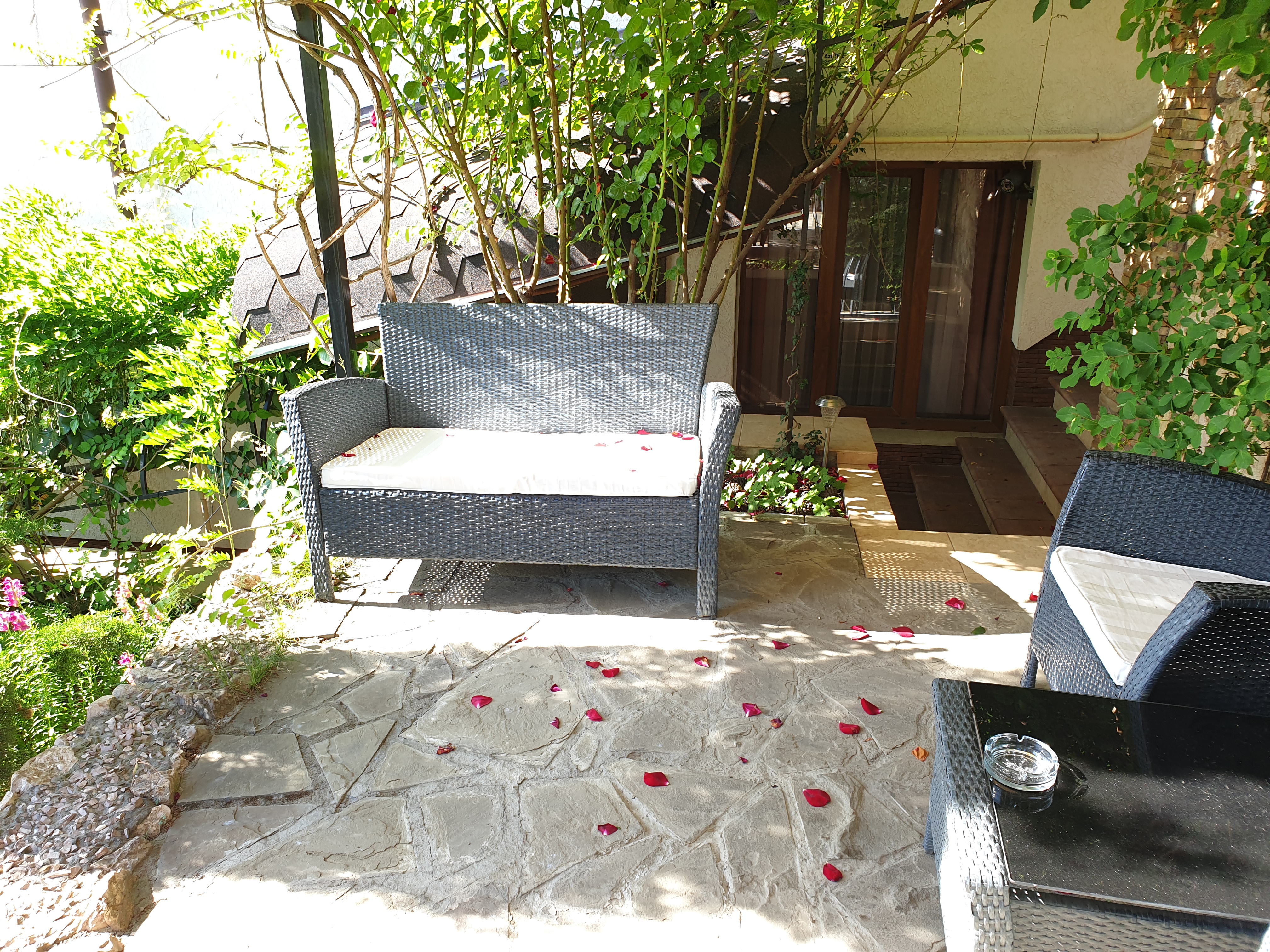 Фото Кипарис