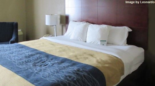 Фото Comfort Inn Atlanta Downtown South