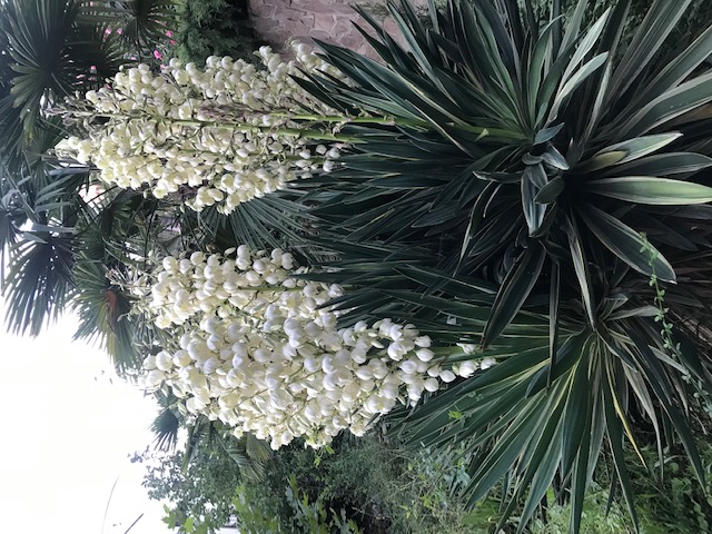 Фото Таврида