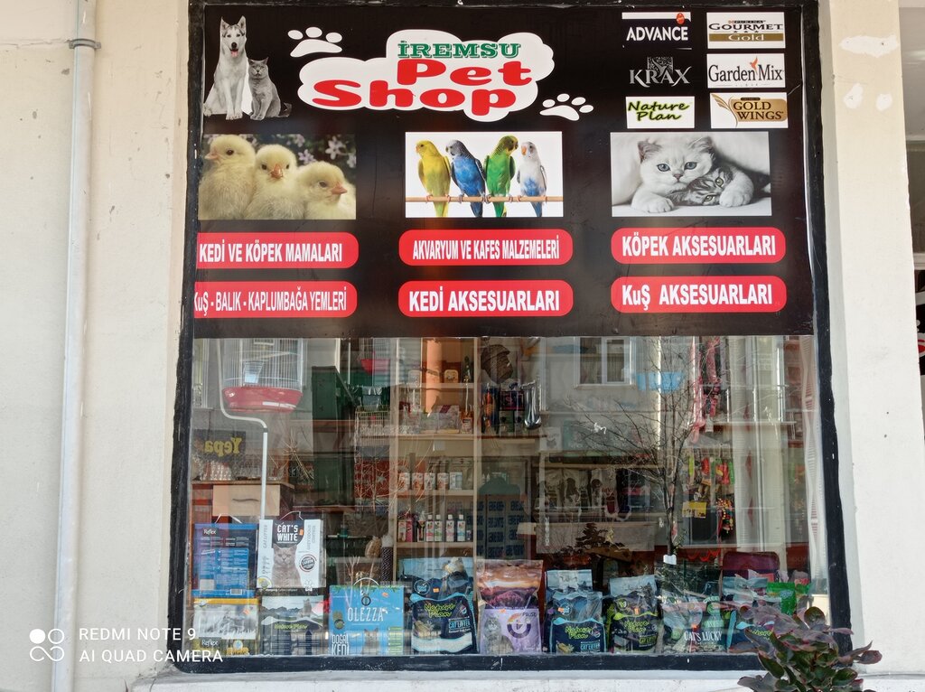 Pet shop Irem Water Petshop, Ankara, photo