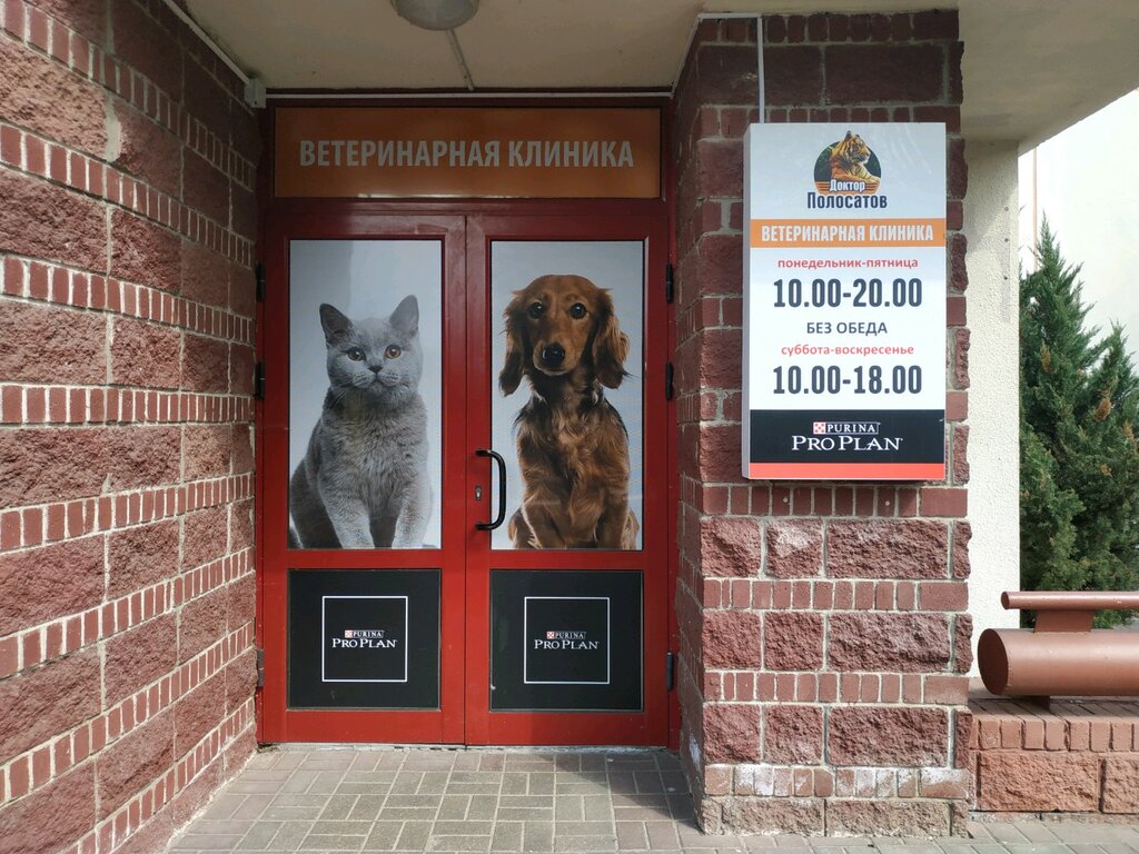 Ветеринарная клиника Доктор Полосатов, Витебск, фото
