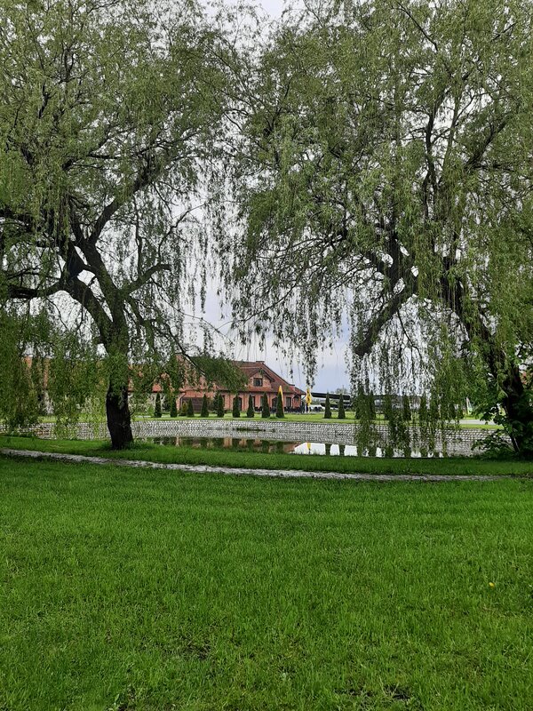 Замок Романовски — фото 50