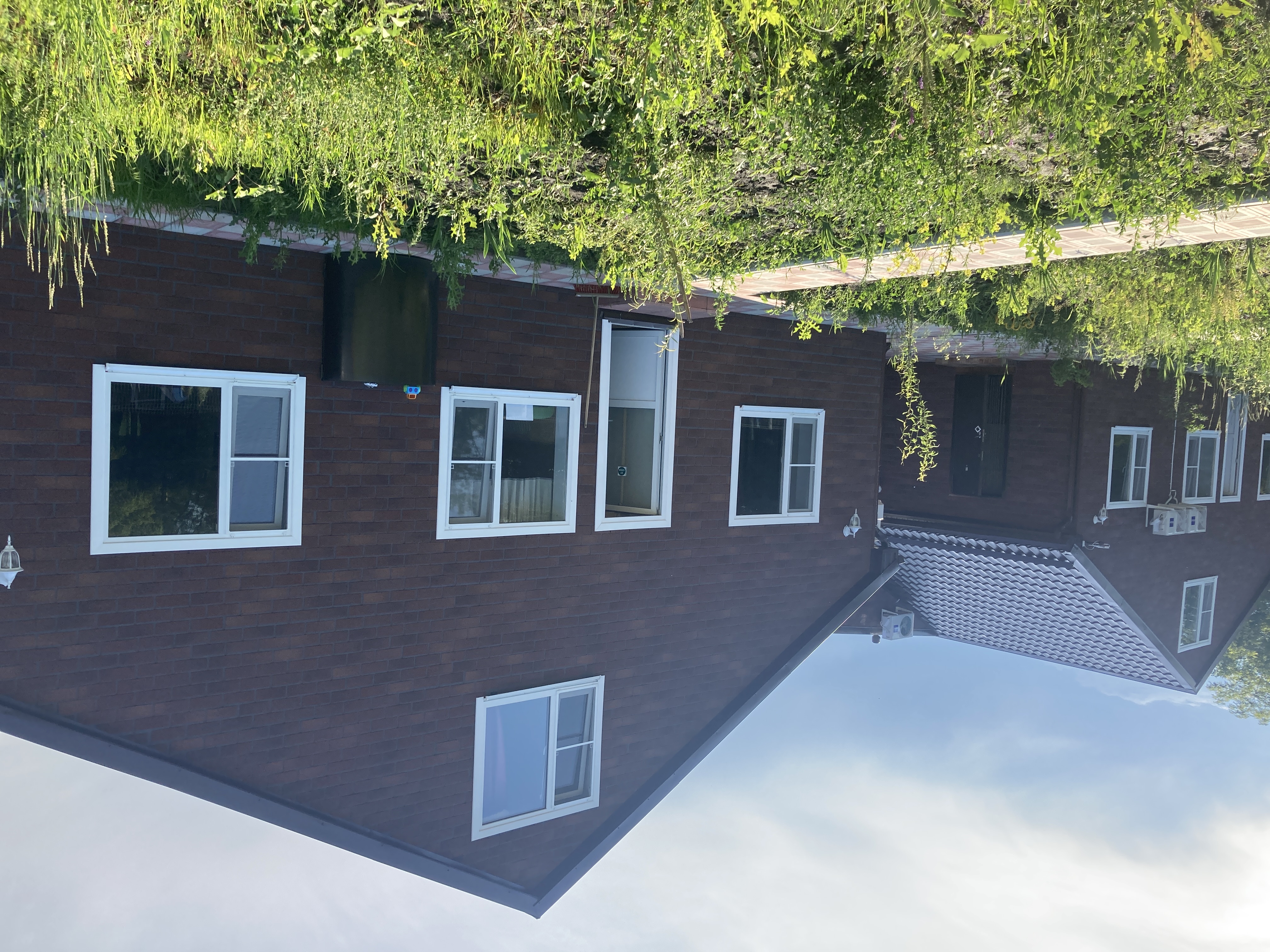 Фото Двор сурка