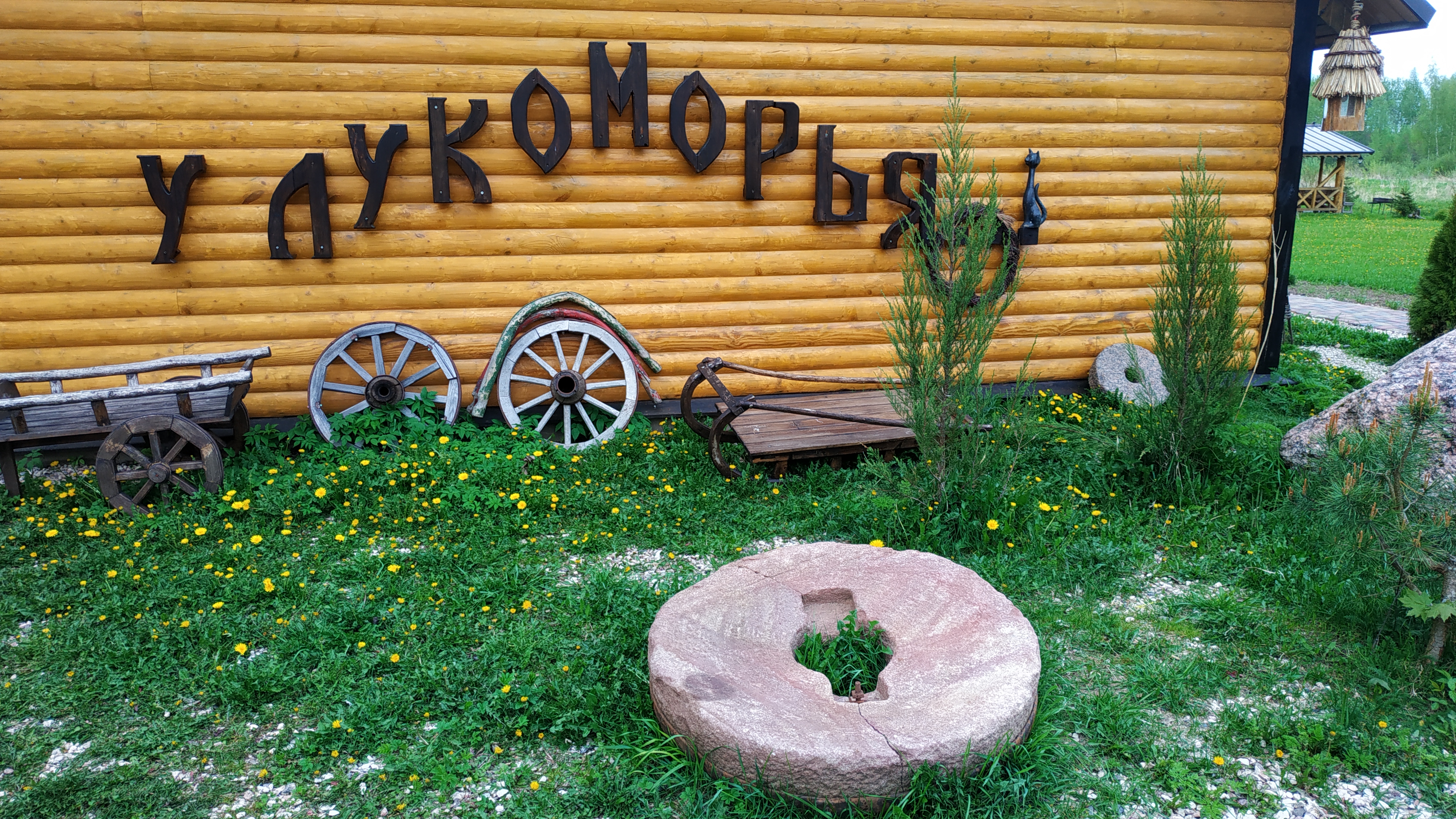 Фото У Лукоморья