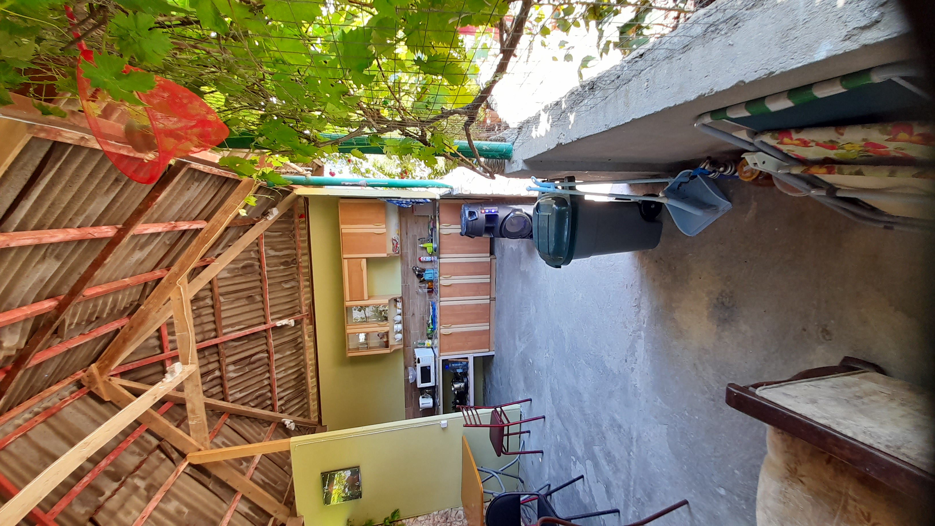 Фото Тетушка Сова