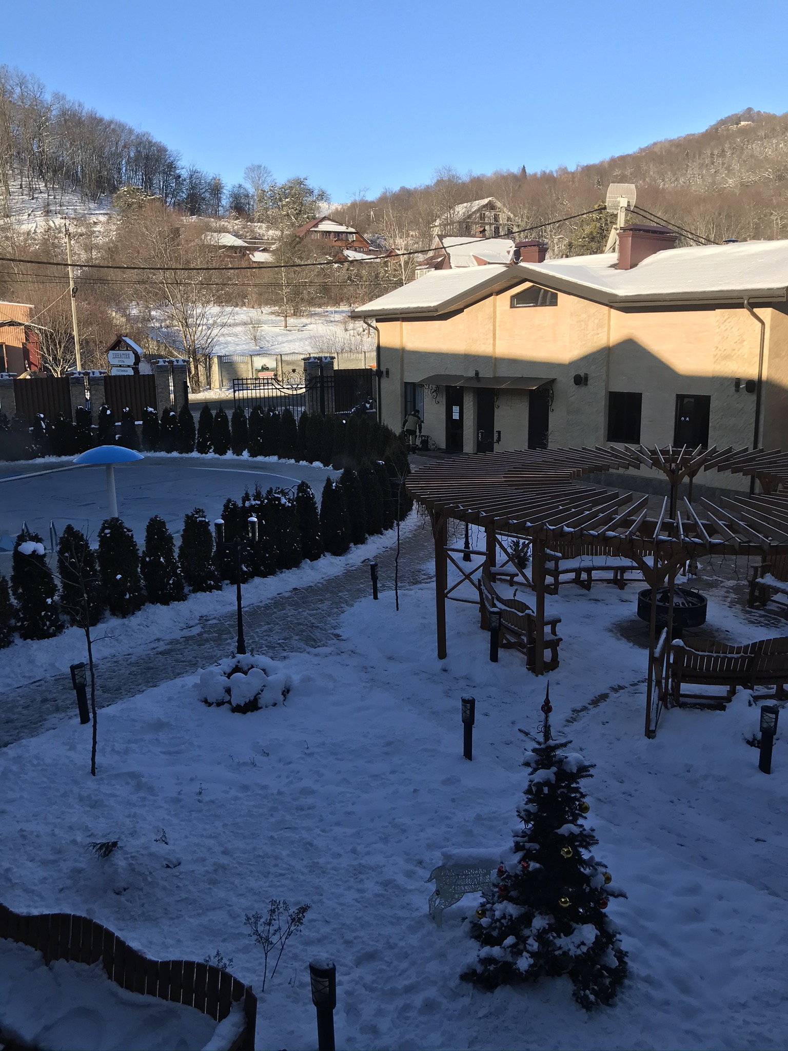 Фото Династия