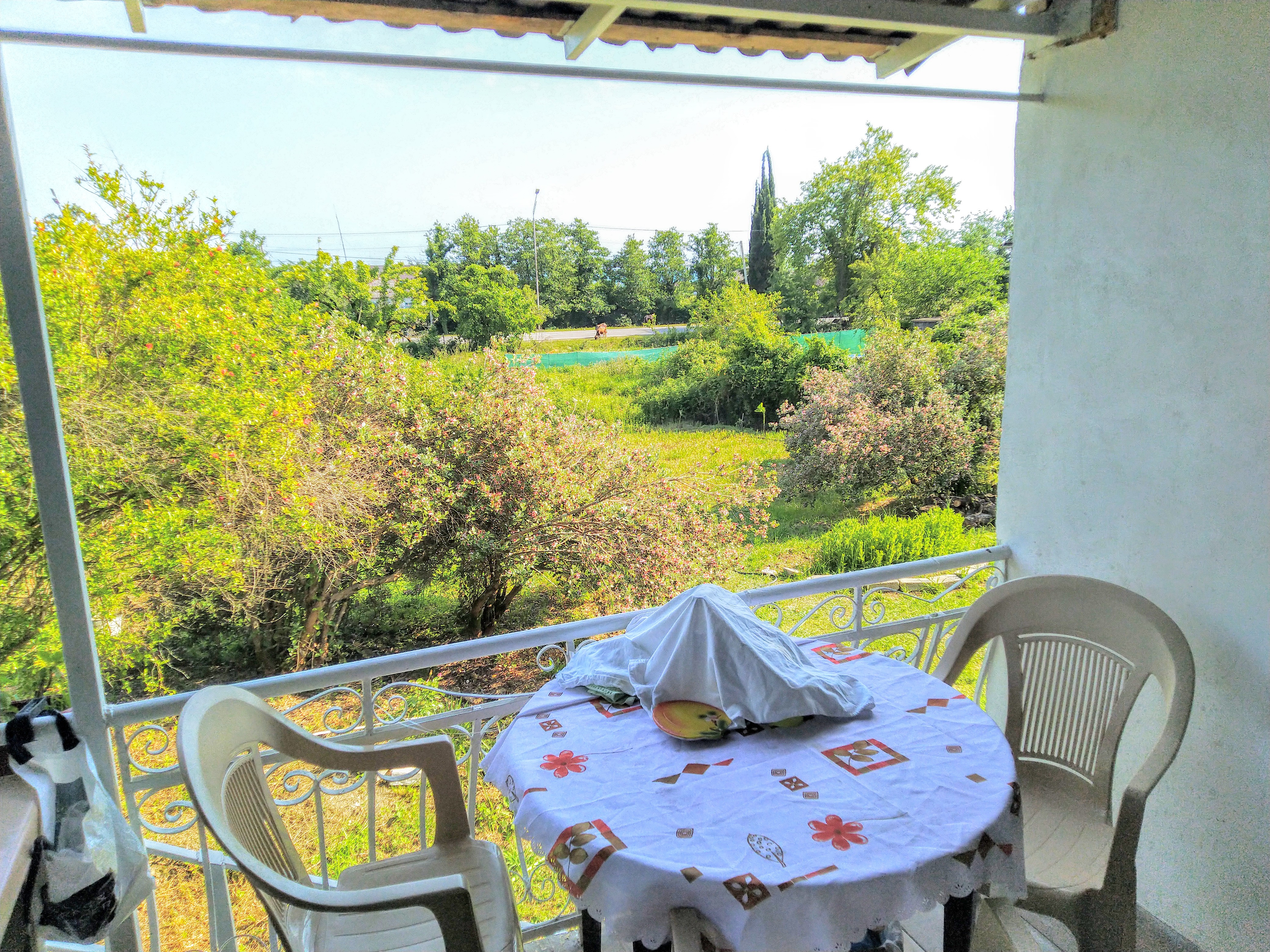 Фото У Комаровых