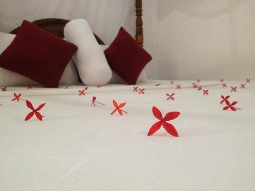 Фото N. L. I. Guest House