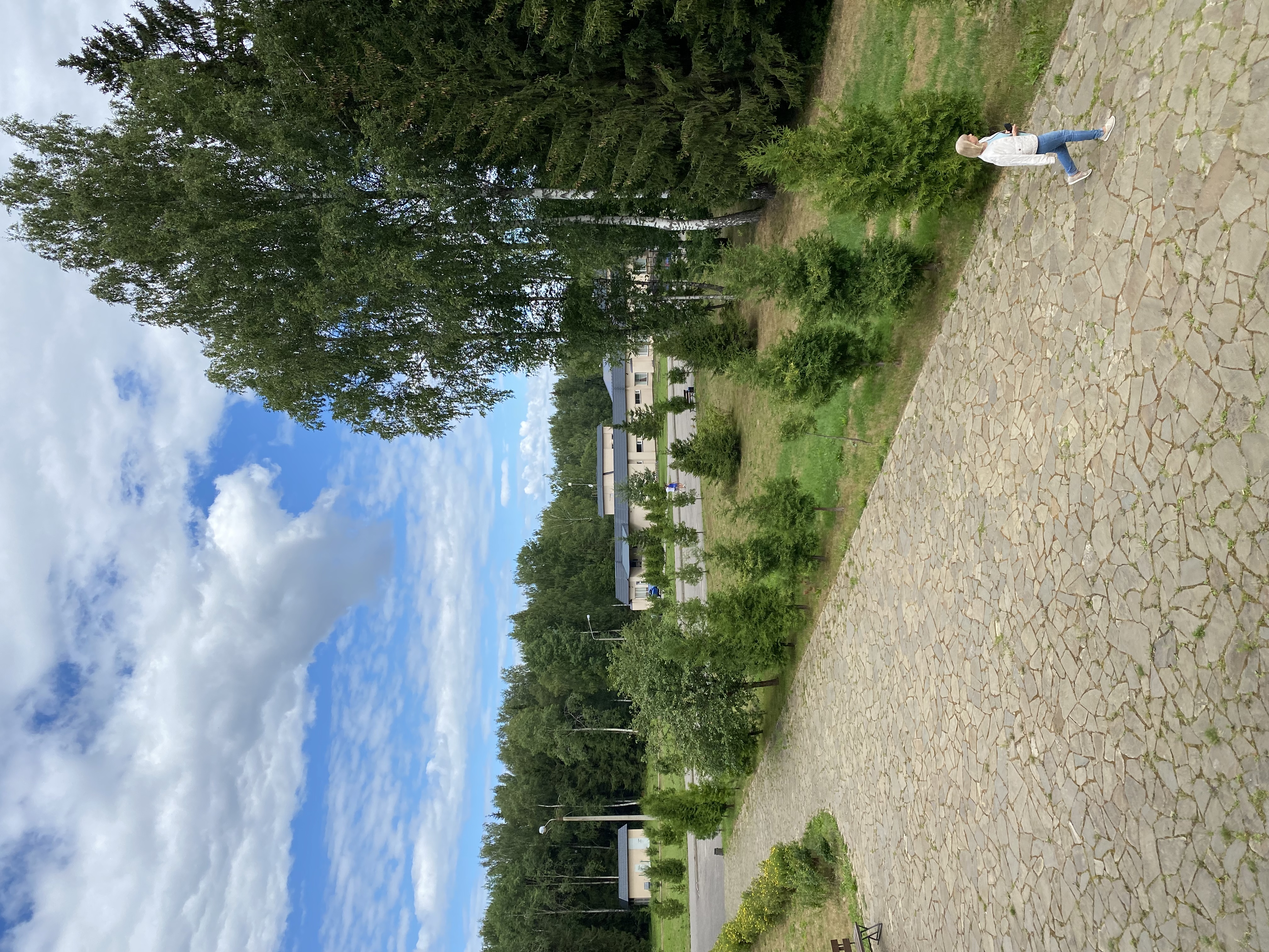 Фото Лафер Ренессанс