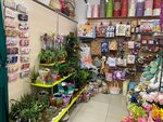 Модный Букет (rabochiy posyolok Vychegodskiy, Teatralnaya ulitsa, 15А), flower shop