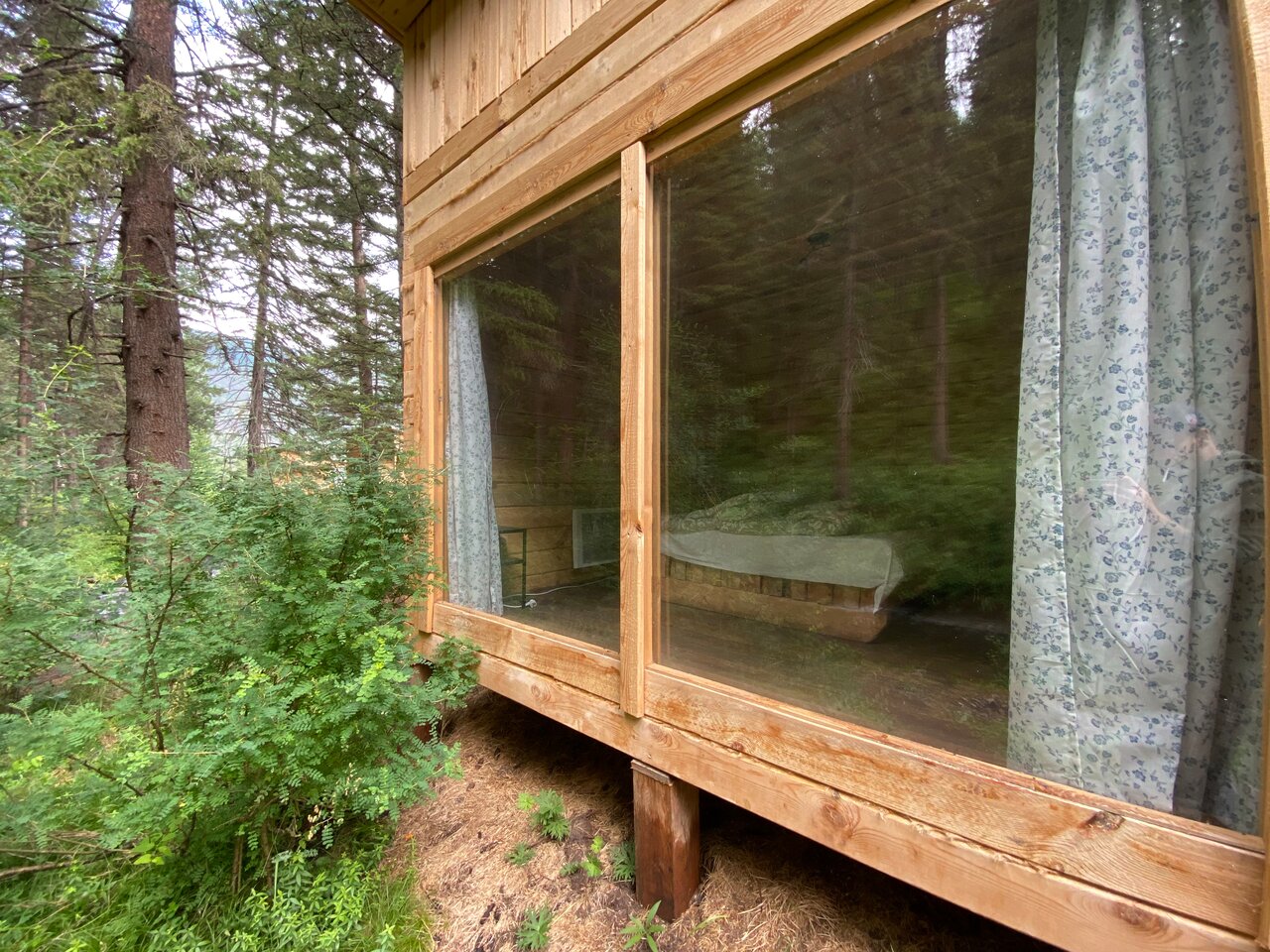 Фото Зелёный колобок