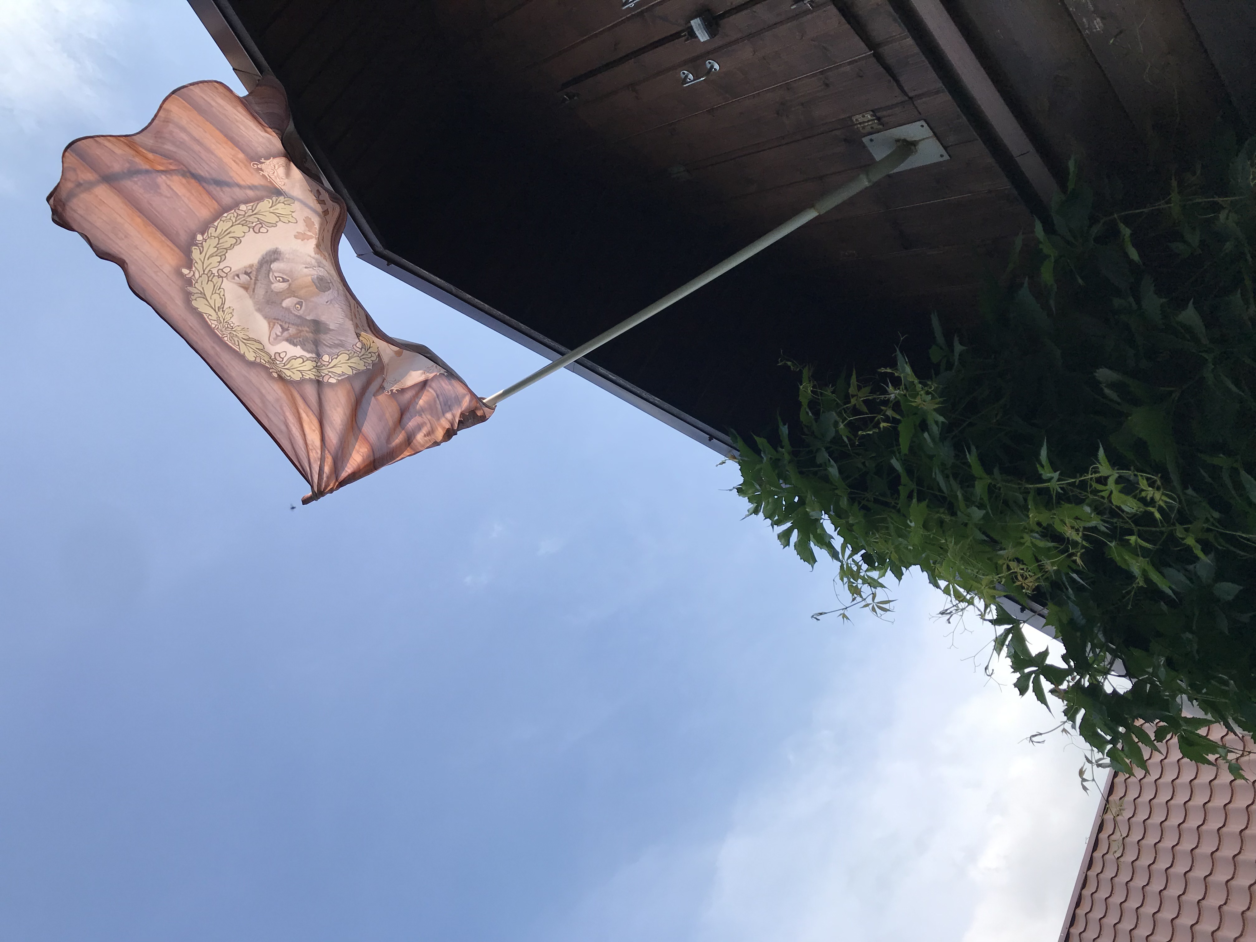 Фото Серый Волк