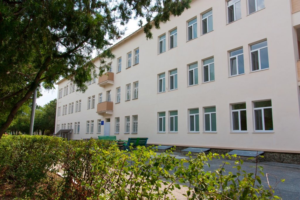 Фото Дружба