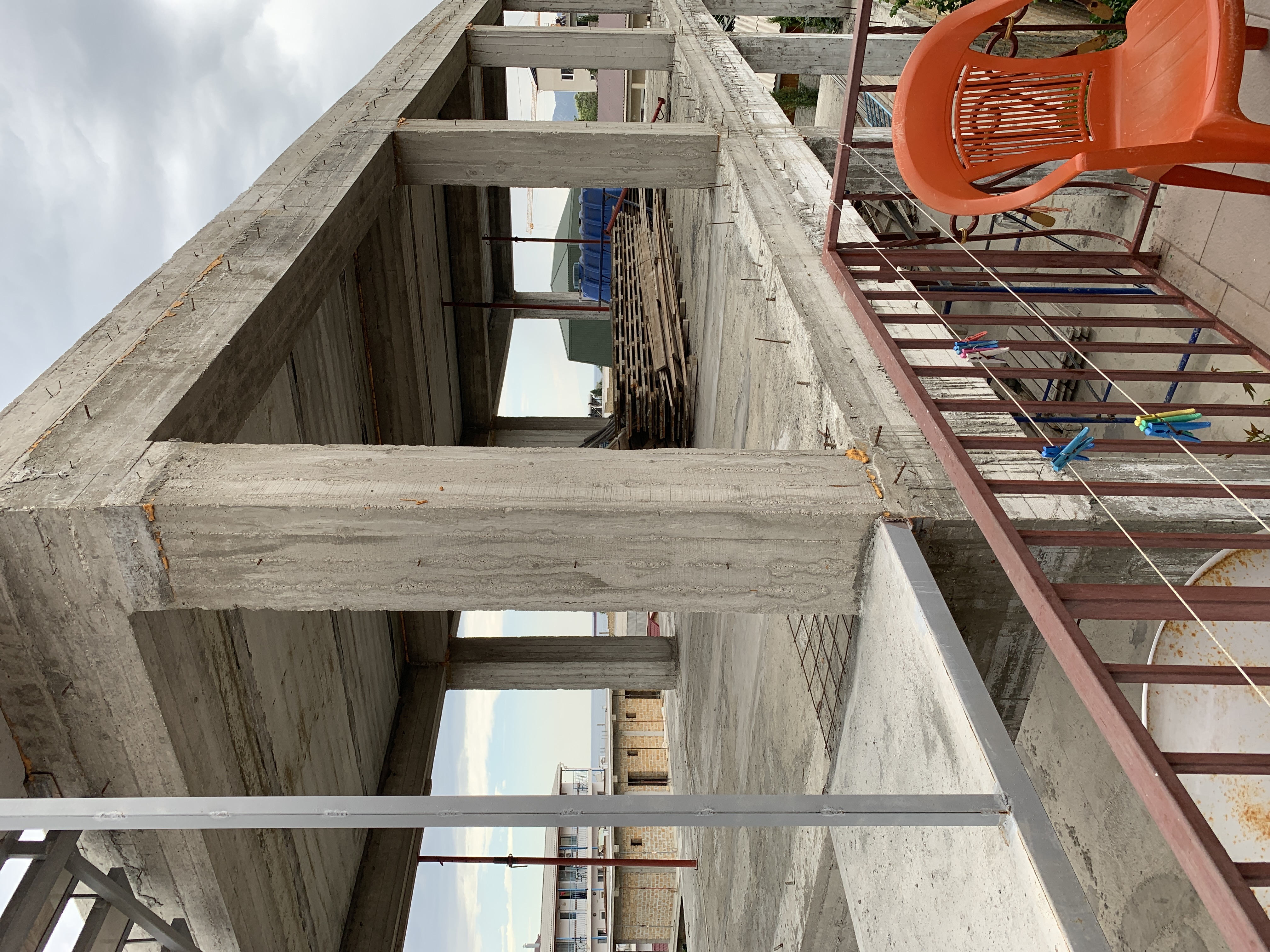 Фото Кипарис