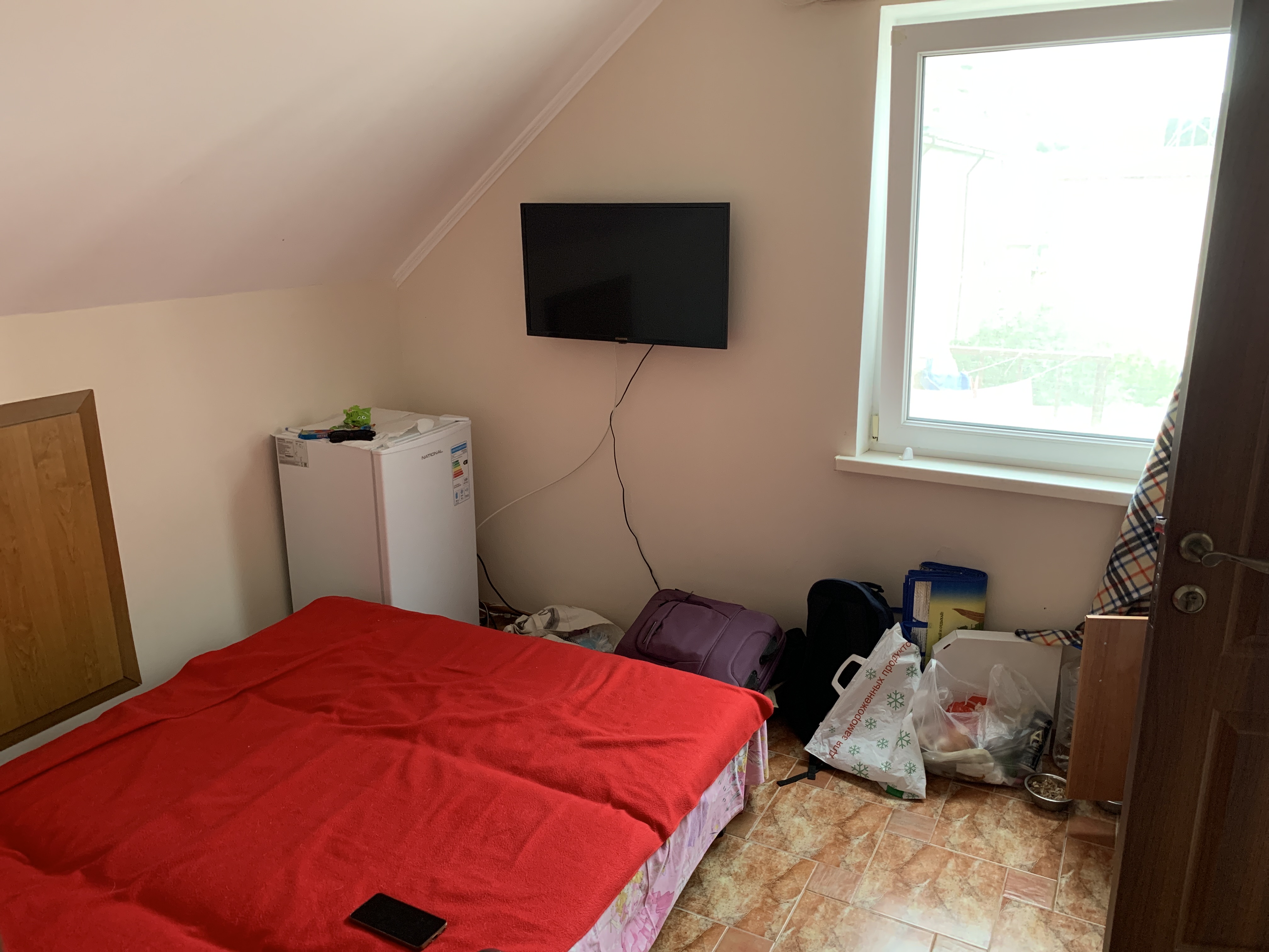 Фото Кипарис