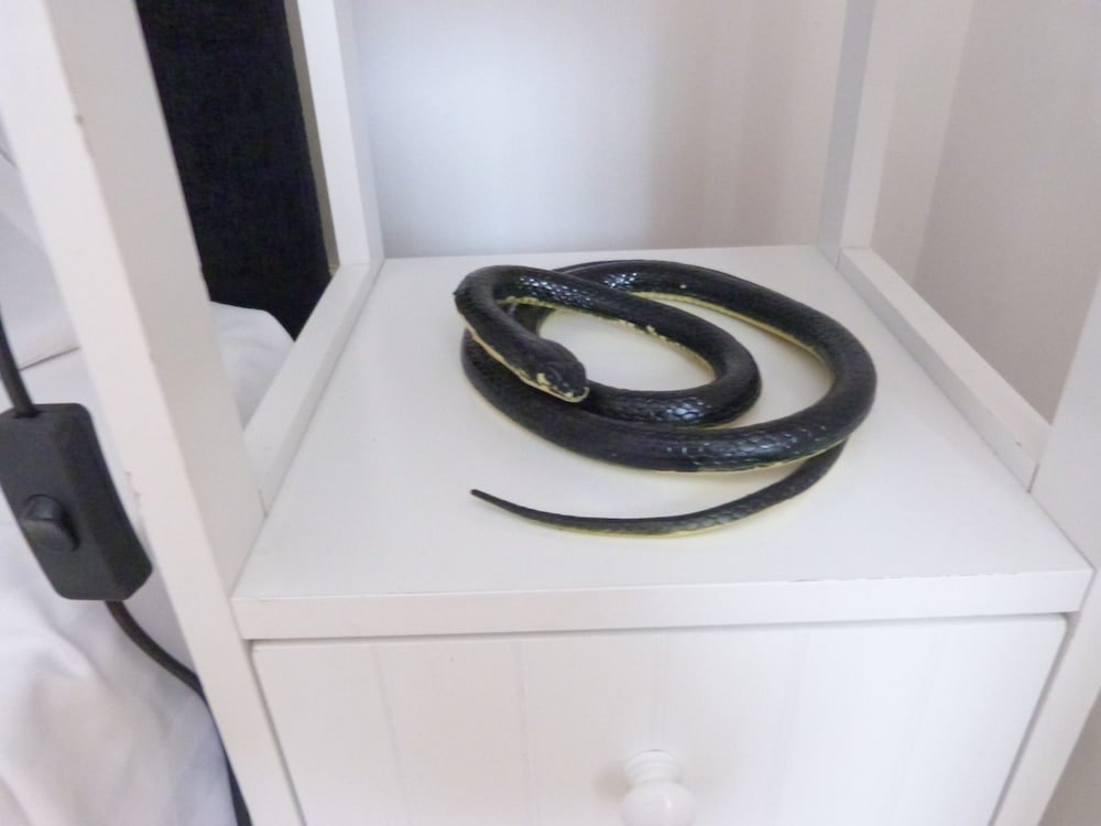 Фото Spinners End