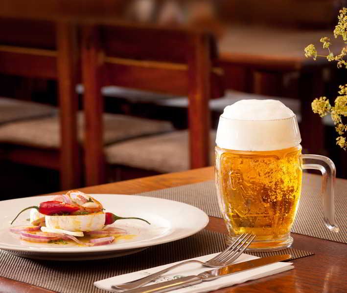 Фото Hotel Concertino Zlatá Husa