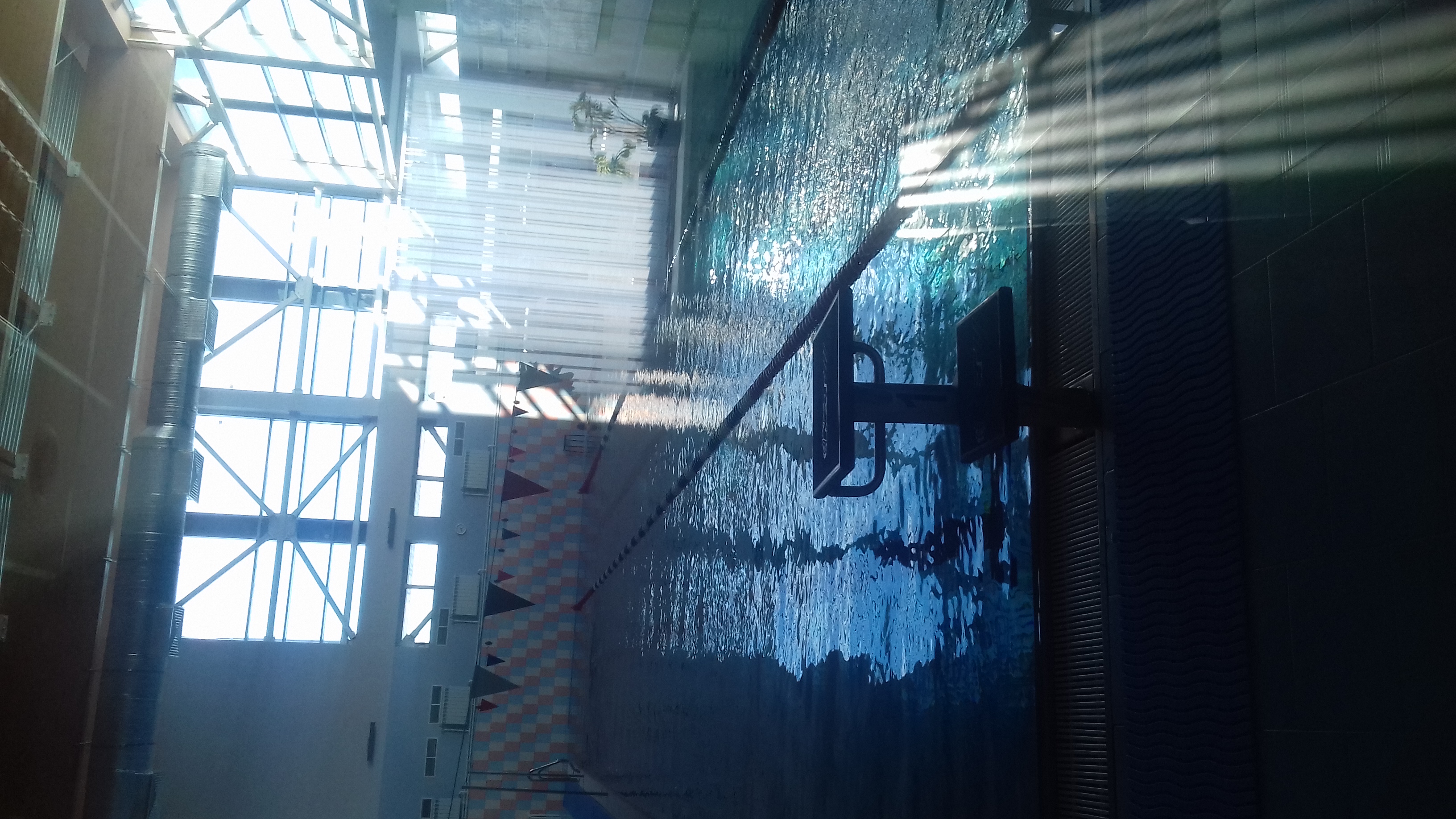 Фото Lesnaya Skazka