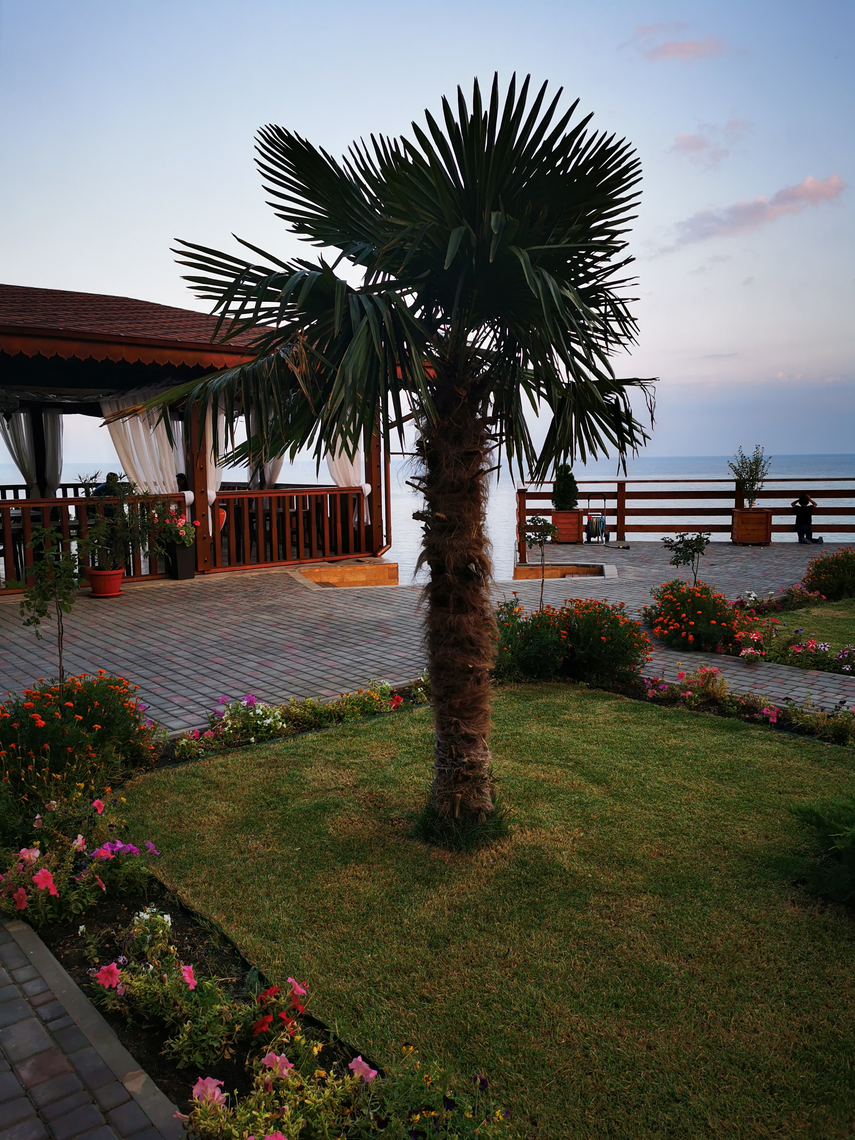 Фото Qirim Hayali