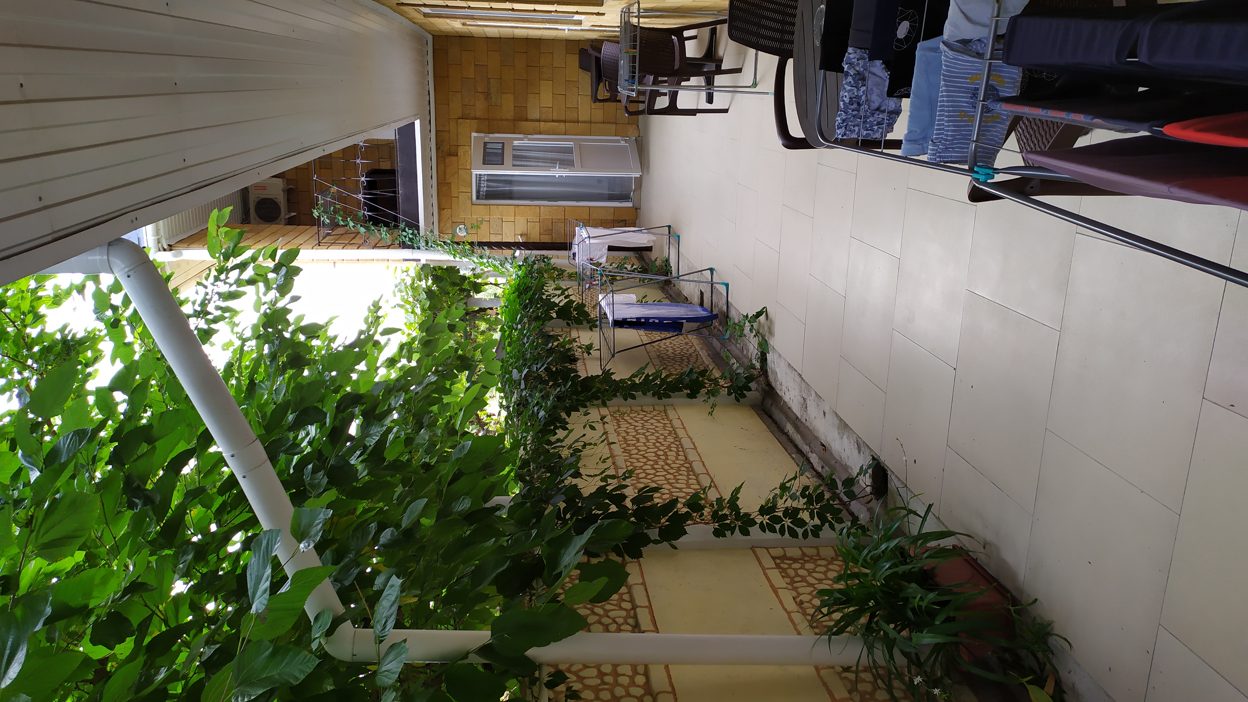 Фото Хельга у моря