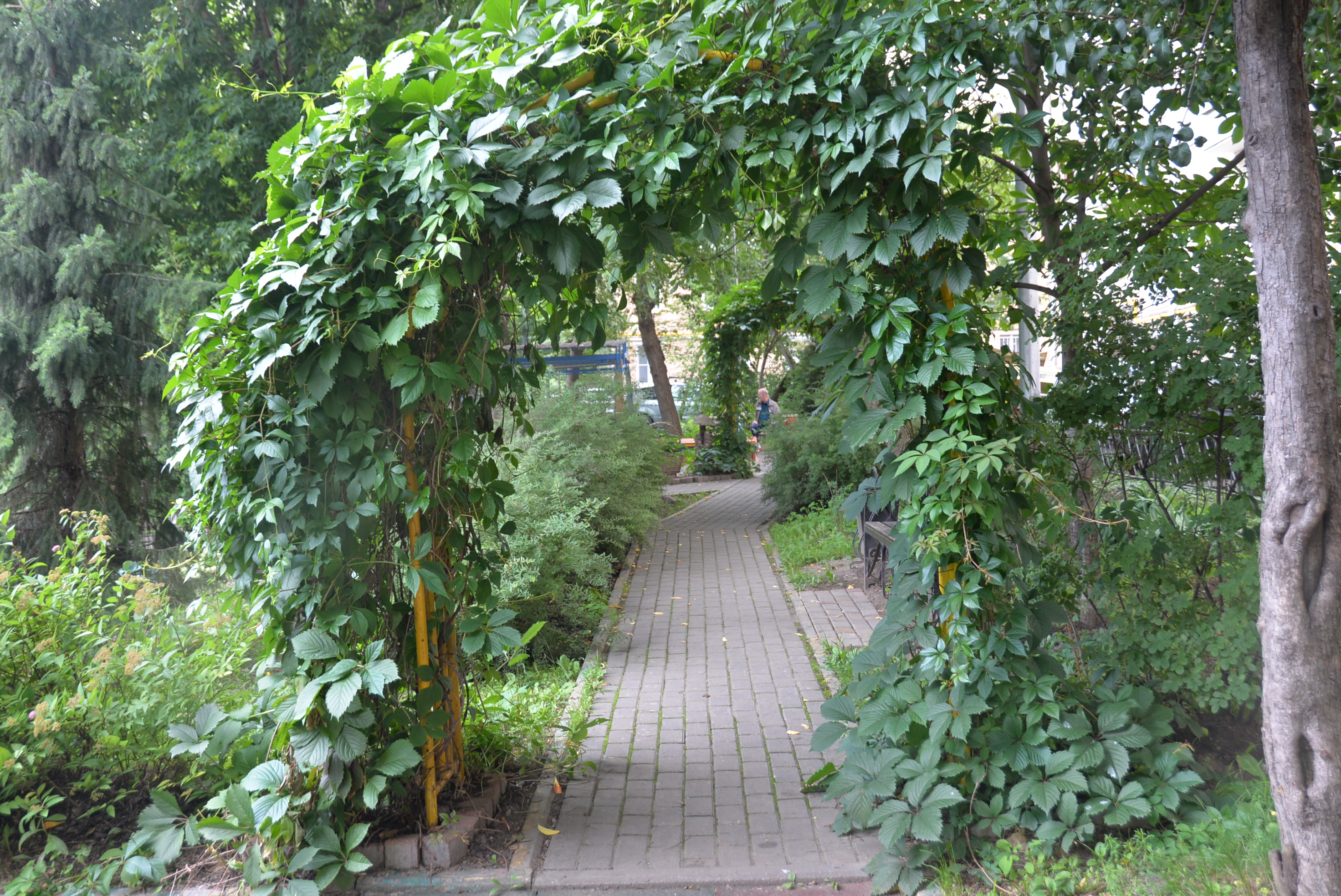 Фото Варшавка ИНН