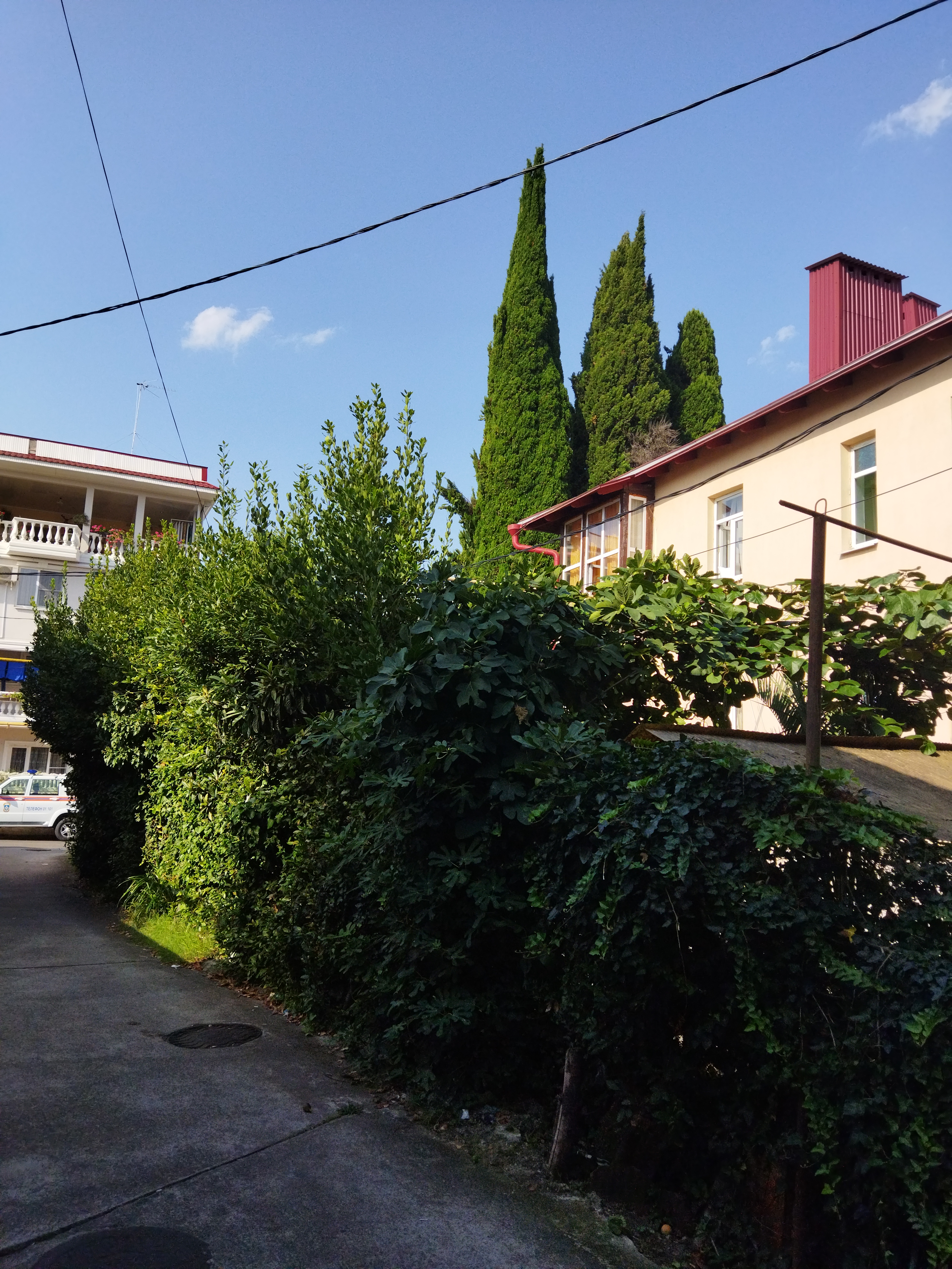 Фото Альбина