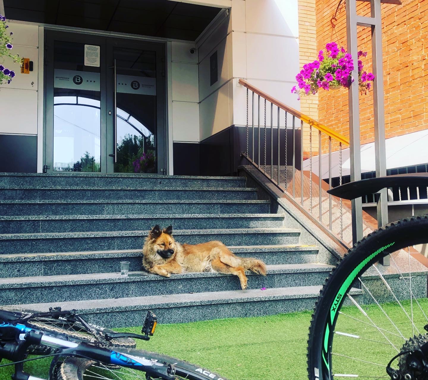 Фото Бизнес отель Воскресенск