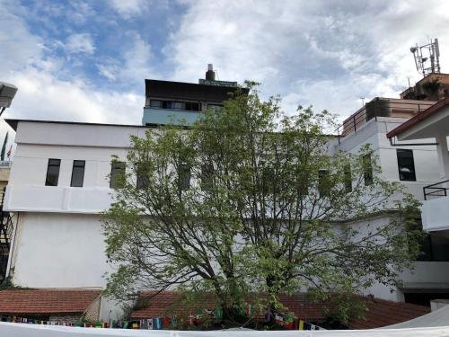 Фото Yakety Yak Hostel