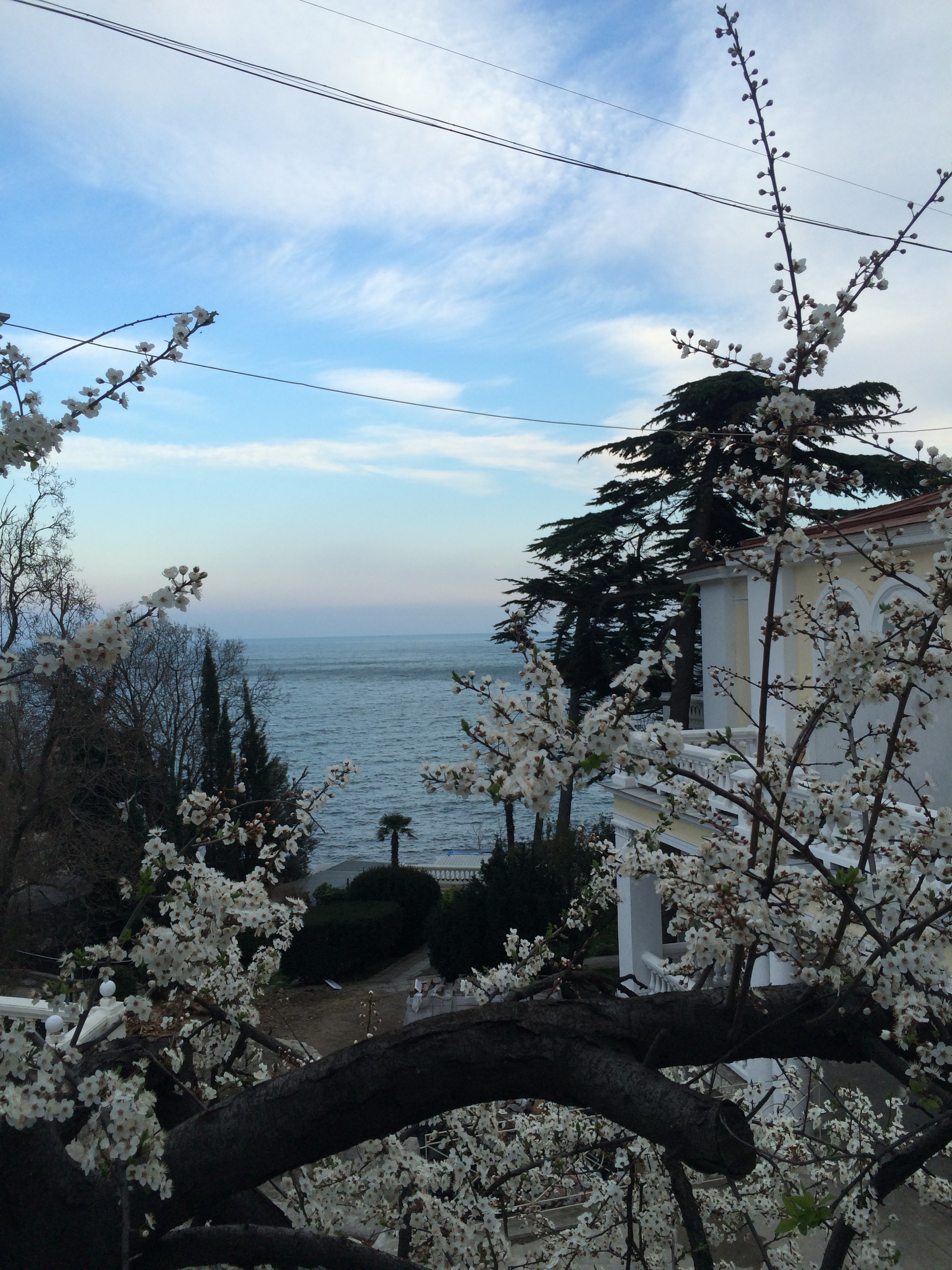 Фото Лиго Морская