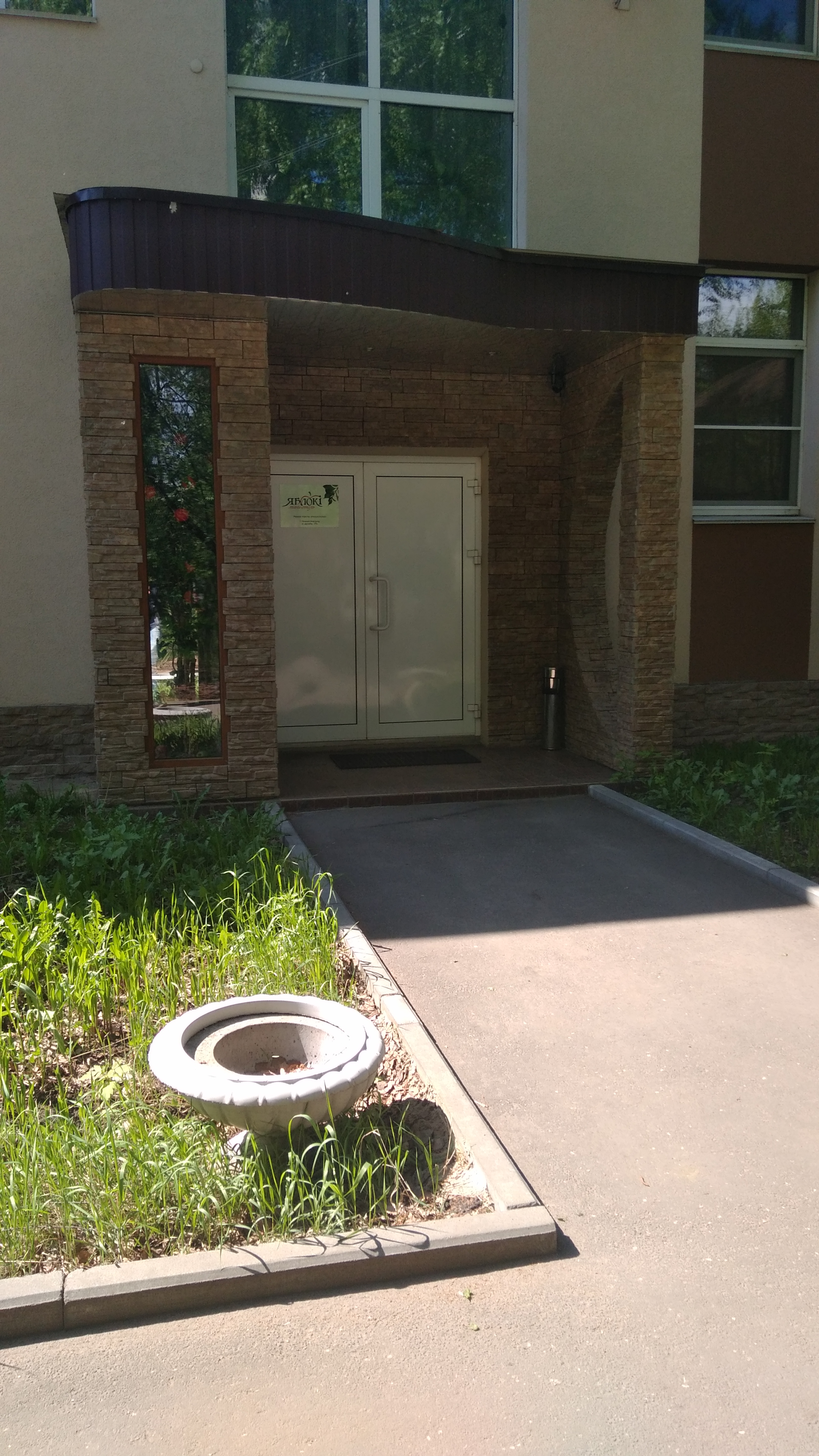 Фото Яблоки