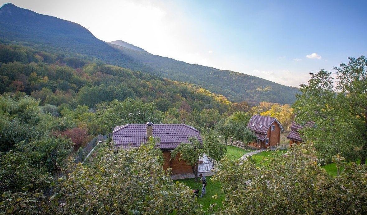 Фото Пальмира