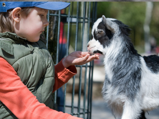 Фото Митричево