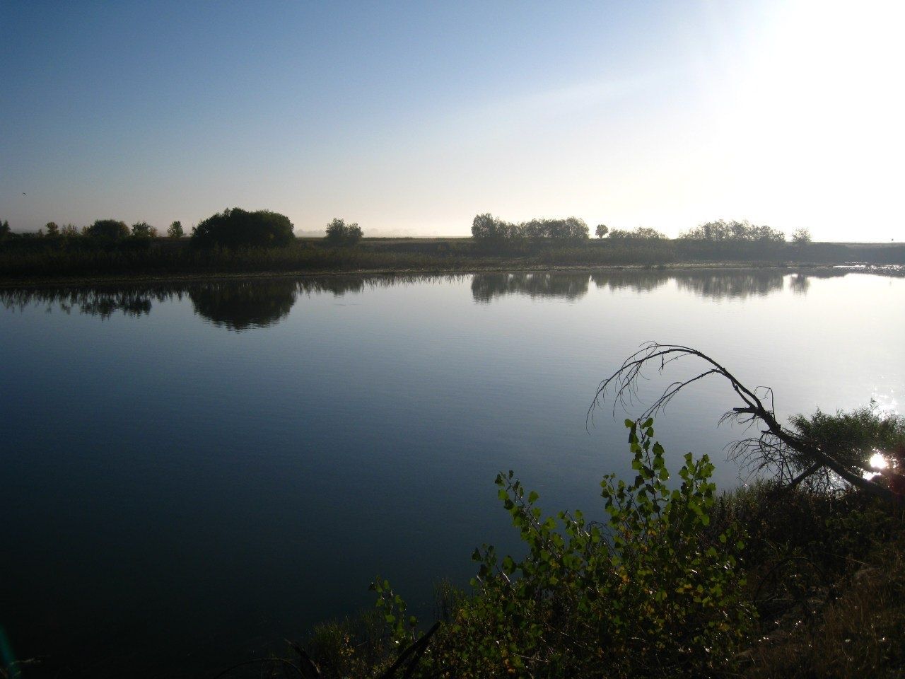 Фото Алимовский плес