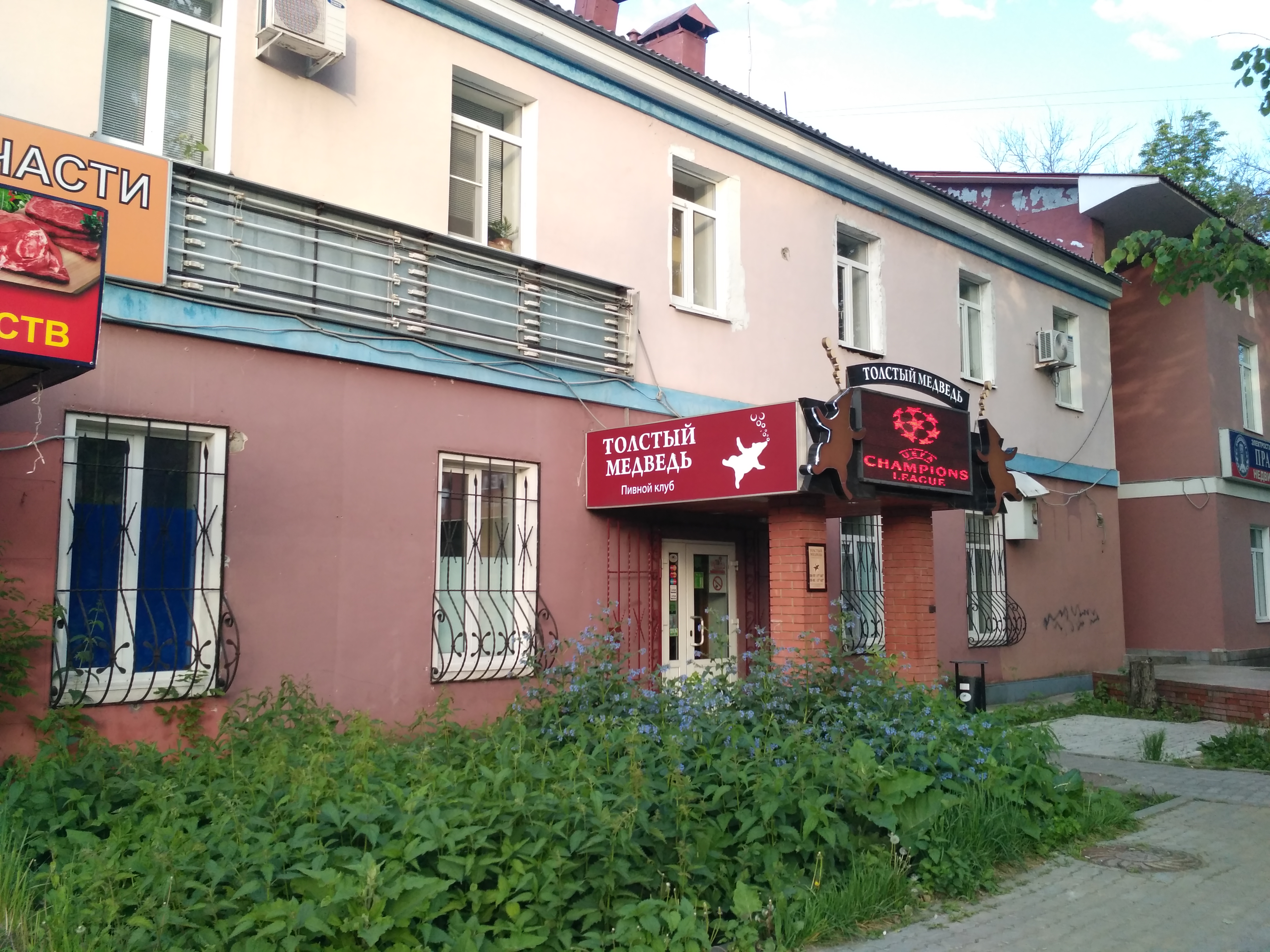 Толстый медведь ул карла маркса 30 фото